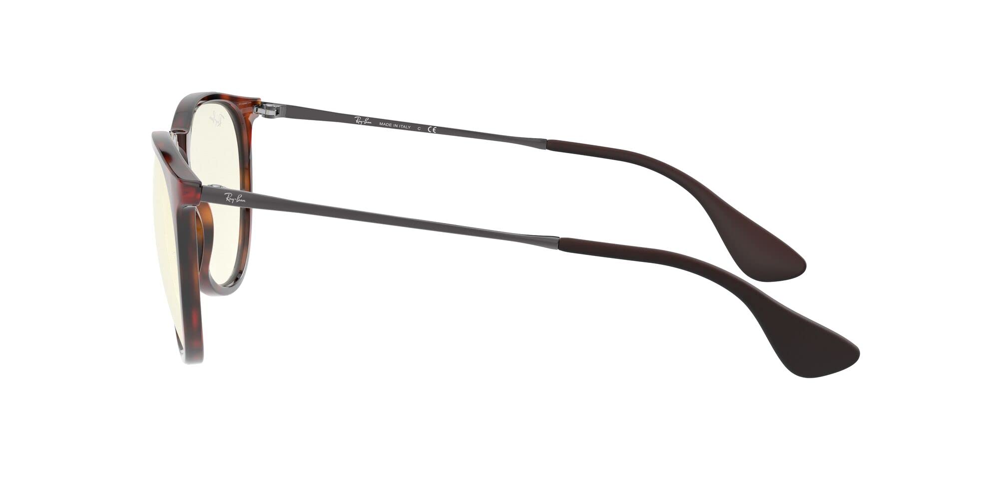 Ray-Ban RB4171 Erika Round Sunglasses