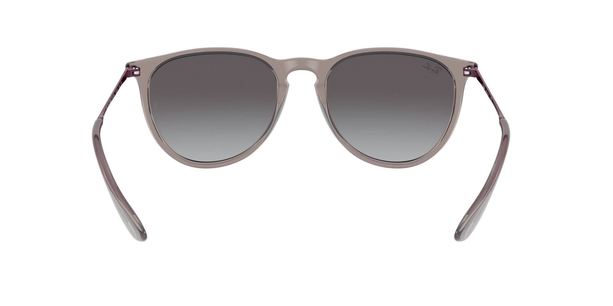 Ray-Ban RB4171 Erika Round Sunglasses