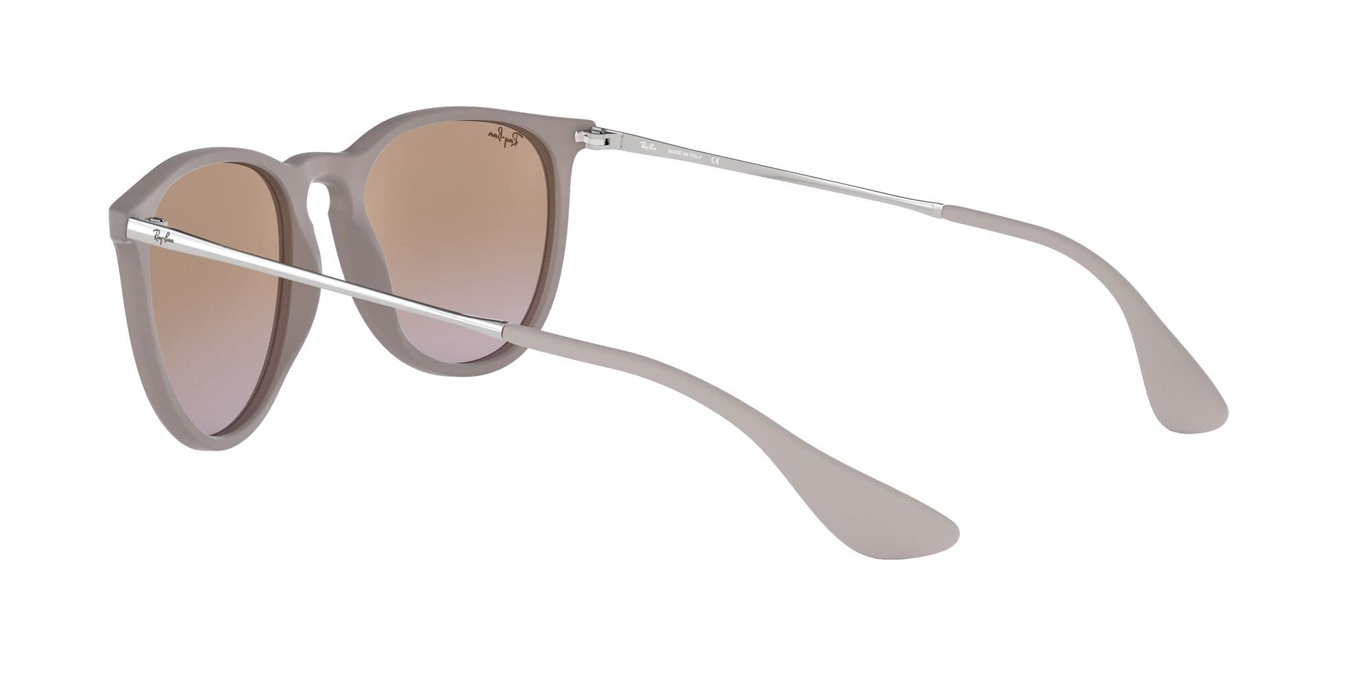 Ray-Ban RB4171 Erika Round Sunglasses