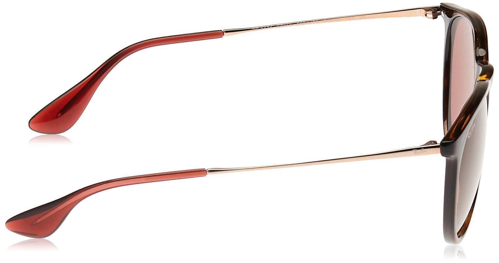 Ray-Ban RB4171 Erika Round Sunglasses