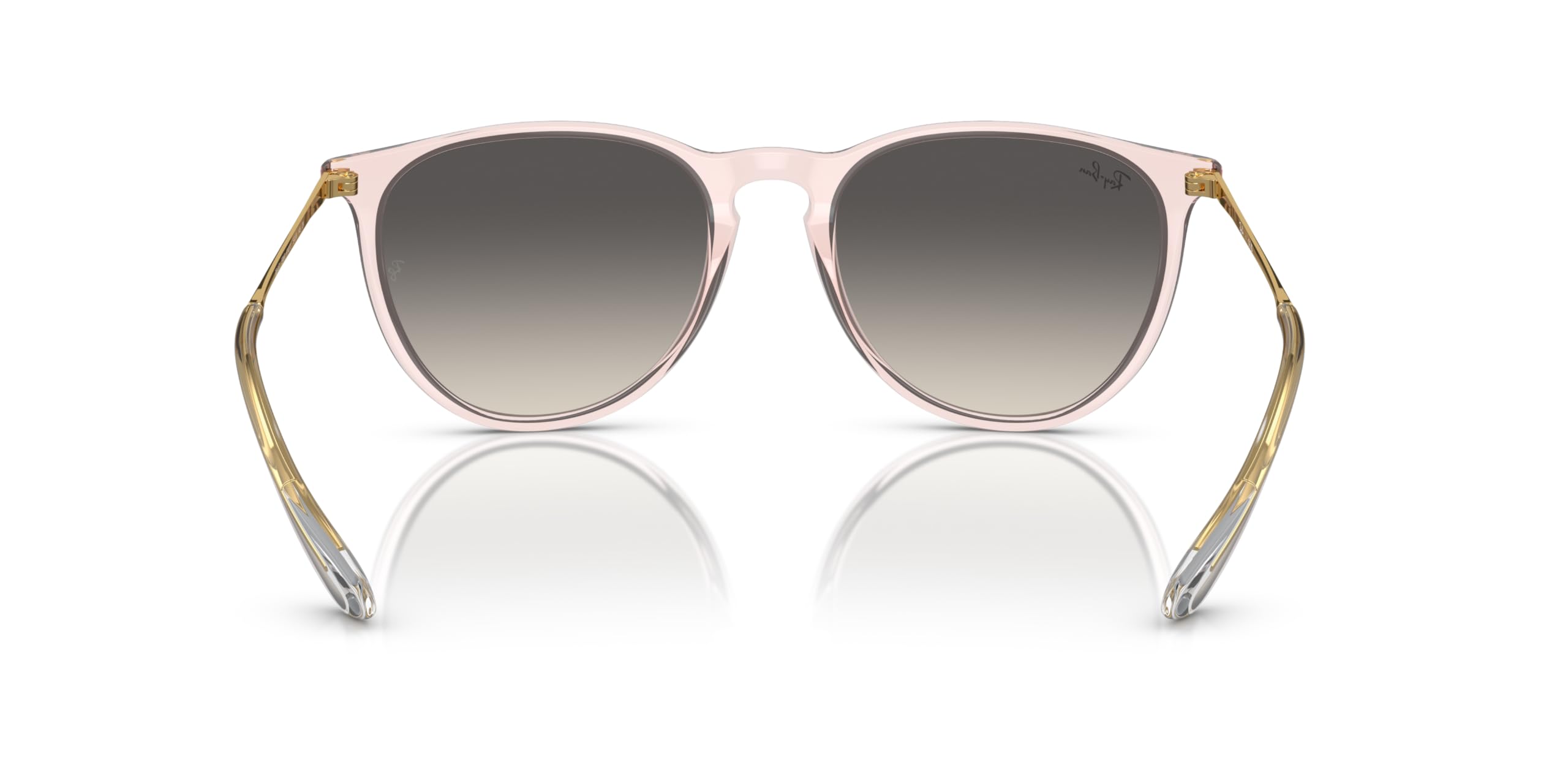 Ray-Ban RB4171 Erika Round Sunglasses