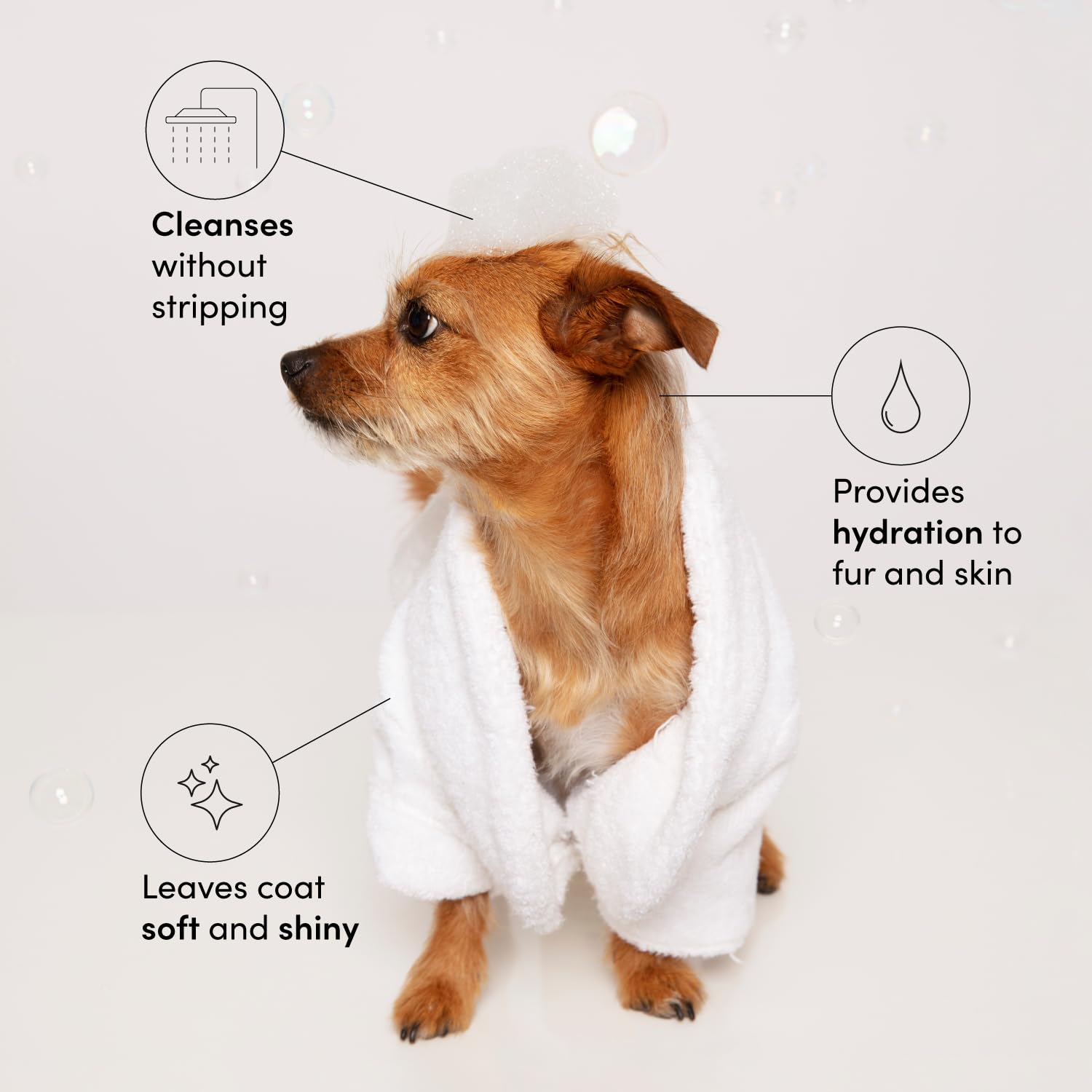 OUAI Fur Bébé Pet Shampoo, Mercer Street Scent - Dog Shampoo and Coat Wash for Hydrating, Cleansing and Adding Shine to Pet Hair - Pet Supplies by OUAI (16 Fl Oz)