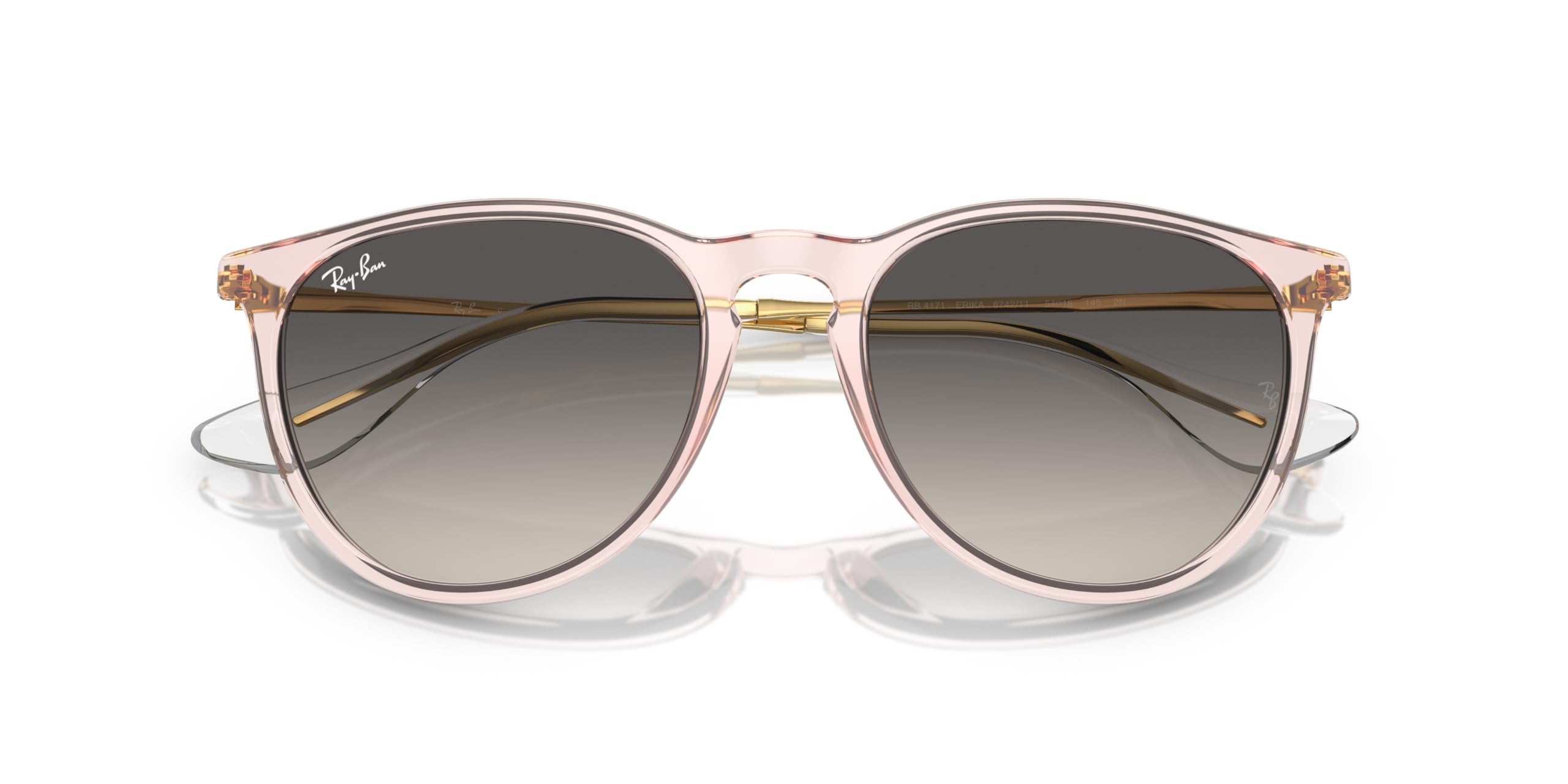 Ray-Ban RB4171 Erika Round Sunglasses