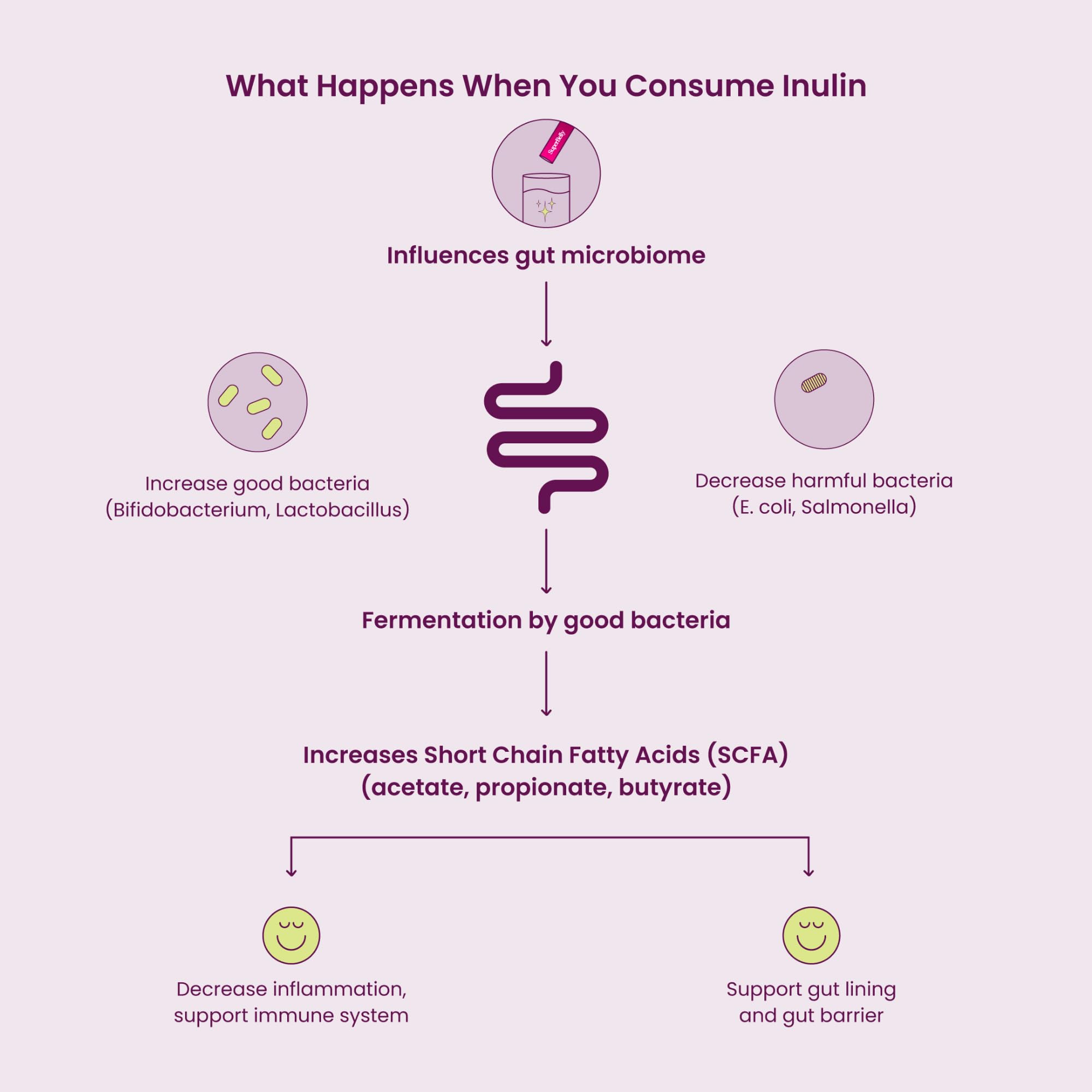 Blume SuperBelly Gut Health Hydration Packets, Sugar-Free, with Prebiotics, Probiotics, Apple Cider Vinegar, and Electrolytes, Strawberry Hibiscus, 15 Sticks