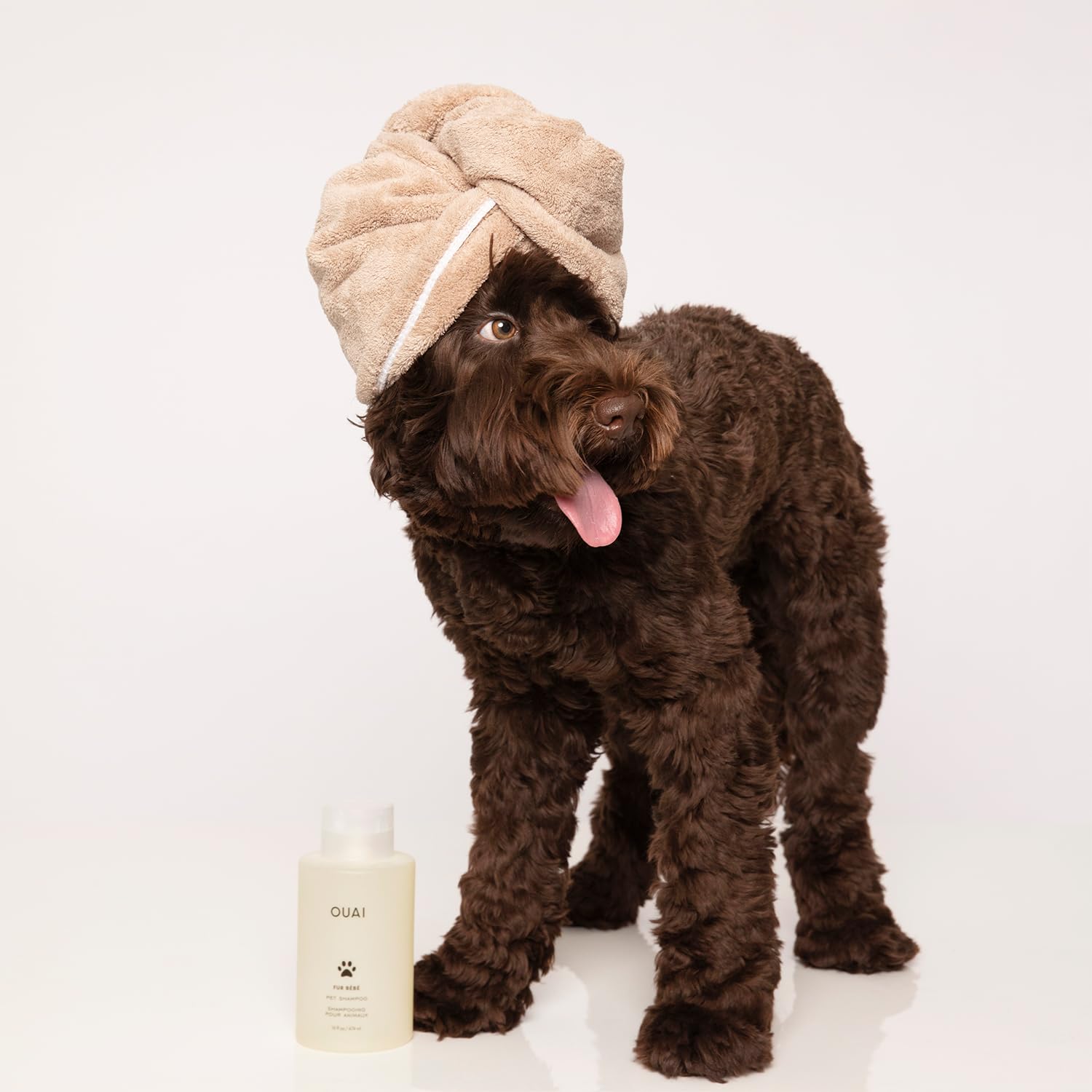 OUAI Fur Bébé Pet Shampoo, Mercer Street Scent - Dog Shampoo and Coat Wash for Hydrating, Cleansing and Adding Shine to Pet Hair - Pet Supplies by OUAI (16 Fl Oz)