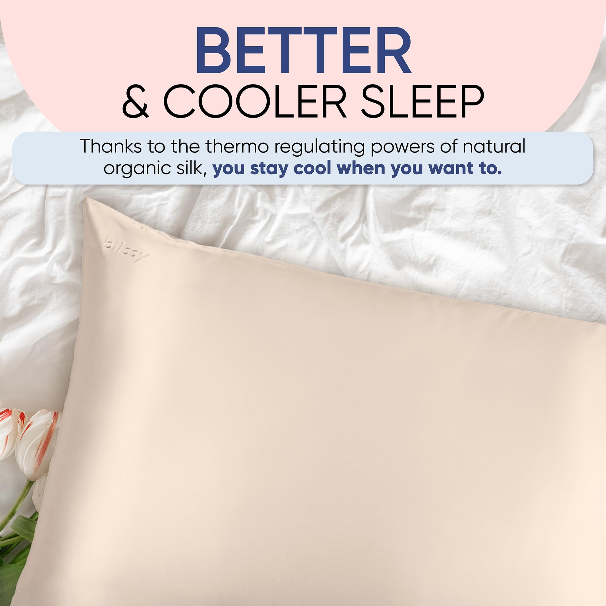 Blissy Silk Pillowcase - 100% Pure Mulberry Silk - 22 Momme 6A High-Grade Fibers - Silk Pillow Cover for Hair & Skin - Regular, Queen & King with Hidden Zipper (Queen, Champagne)