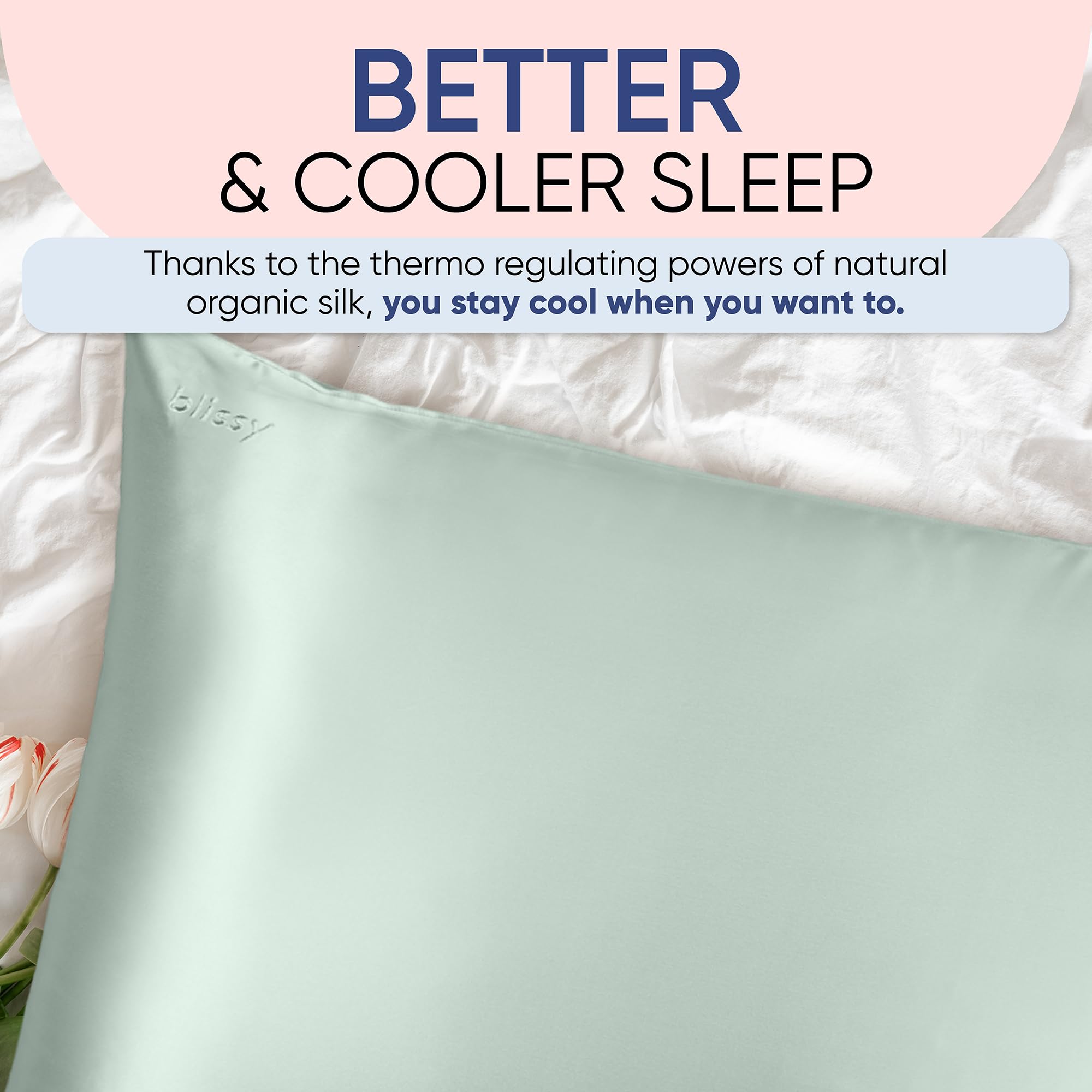 Blissy Silk Pillowcase - 100% Pure Mulberry Silk - 22 Momme 6A High-Grade Fibers - Silk Pillow Cover for Hair & Skin - Regular, Queen & King with Hidden Zipper (Standard,Blissy White)