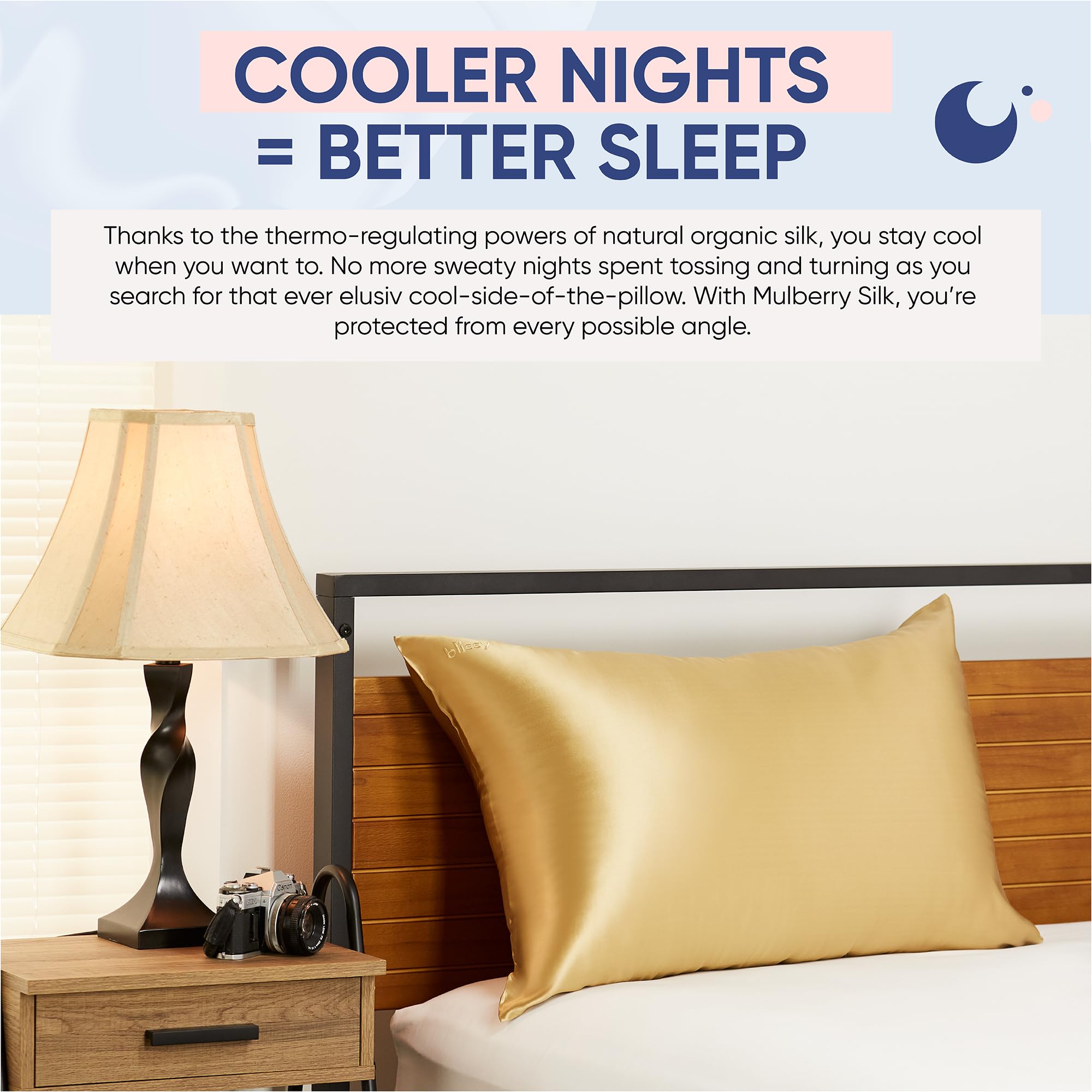 Blissy Silk Pillowcase - 100% Pure Mulberry Silk - 22 Momme 6A High-Grade Fibers - Silk Pillow Cover for Hair & Skin - Regular, Queen & King with Hidden Zipper (Queen, Champagne)