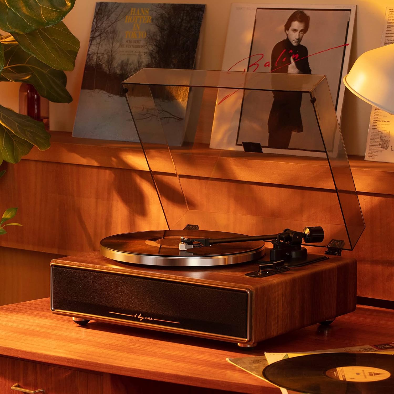 Belt Drive Record Player with Built-in Speakers,Bluetooth Turntable with Magnetic Cartridge,Preamp and Adjustable Counterweight