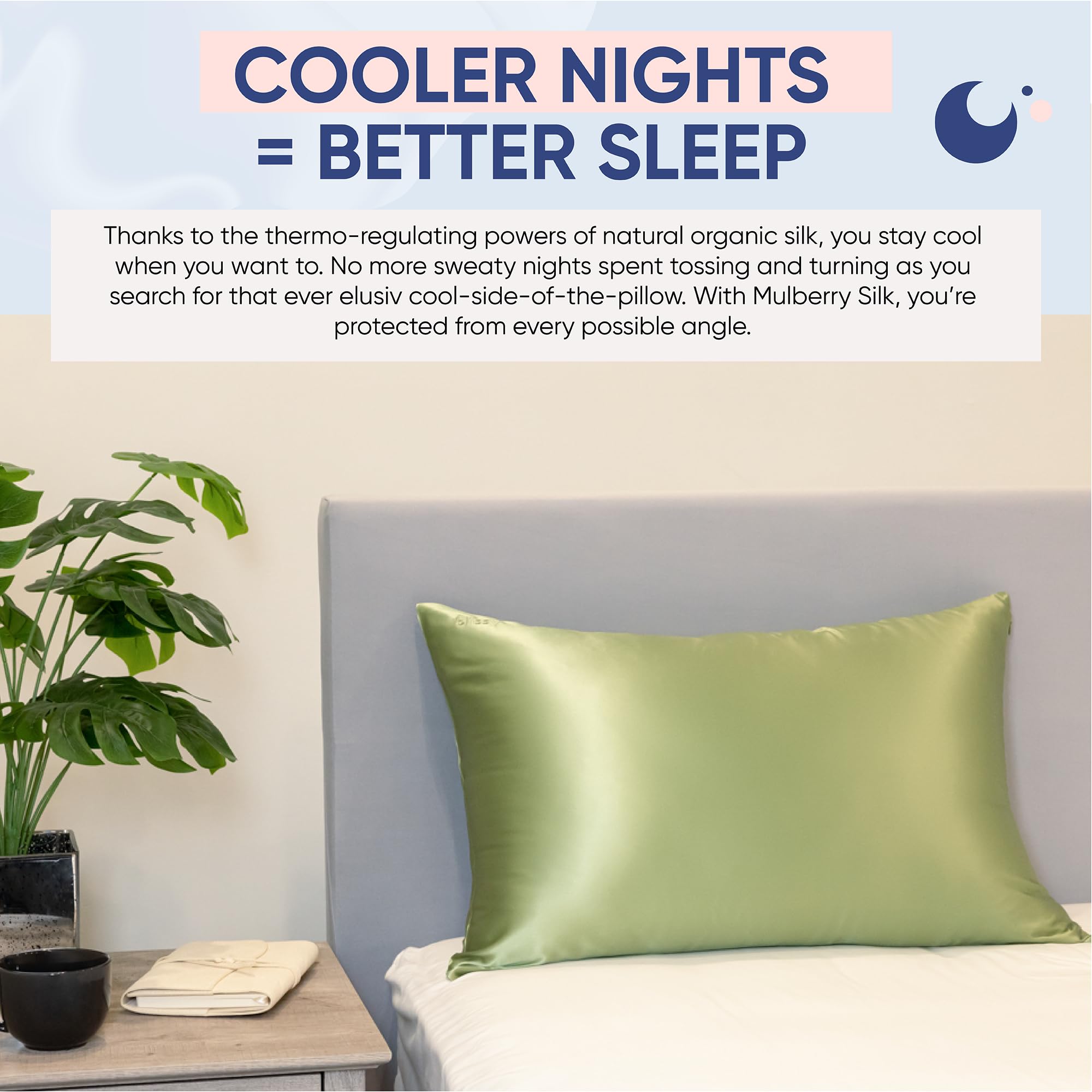 Blissy Silk Pillowcase - 100% Pure Mulberry Silk - 22 Momme 6A High-Grade Fibers - Silk Pillow Cover for Hair & Skin - Regular, Queen & King with Hidden Zipper (Standard,Blissy White)