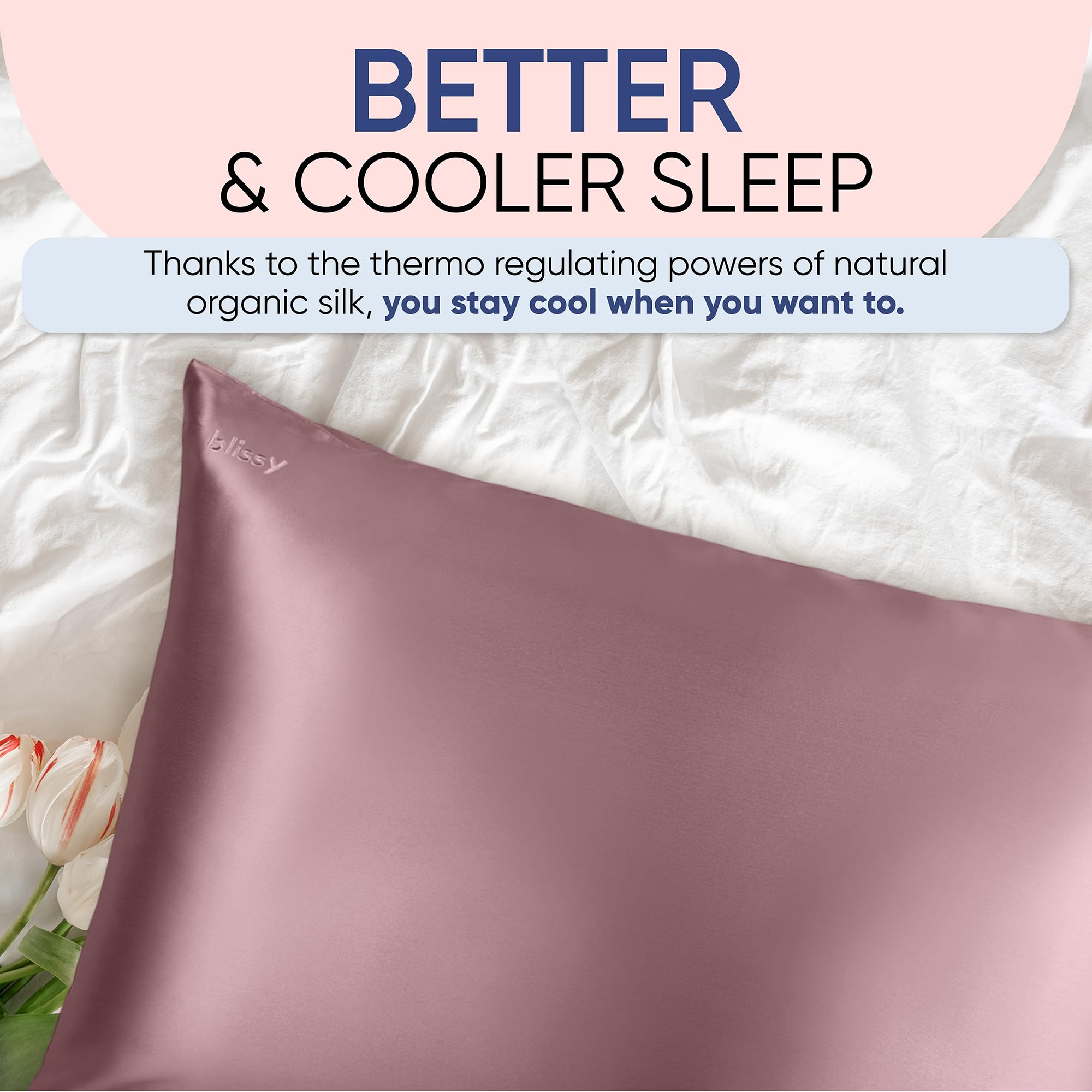 Blissy Silk Pillowcase - 100% Pure Mulberry Silk - 22 Momme 6A High-Grade Fibers - Silk Pillow Cover for Hair & Skin - Regular, Queen & King with Hidden Zipper (Queen, Champagne)