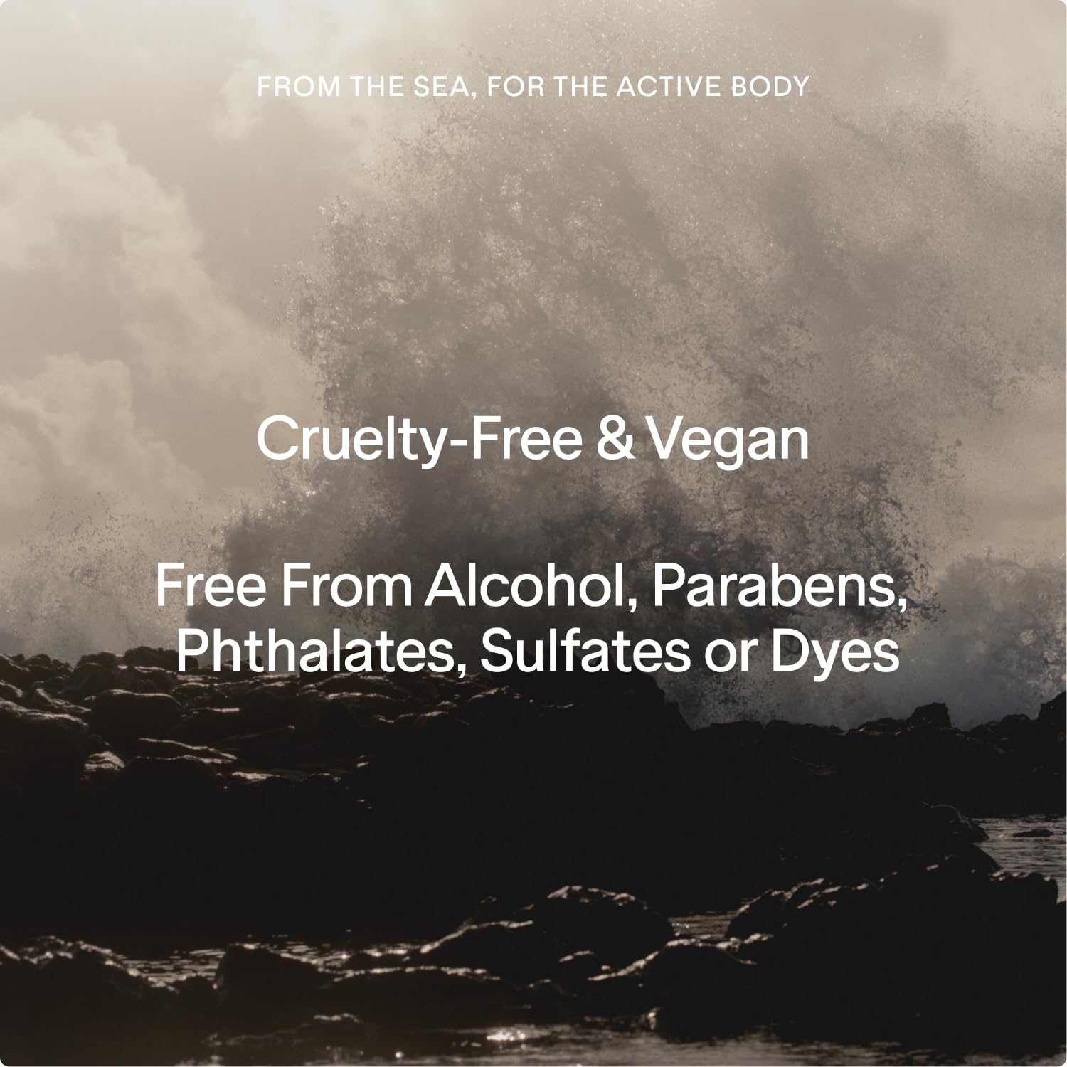 SALT & STONE Scented Candle for Women & Men | Hand-Poured, Aromatic & Fragrant | Natural Coconut & Soy Blend Wax | 100% Cotton Wick | Long-Lasting 50 Hour Burn Time (8.5 oz) (Santal & Vetiver)