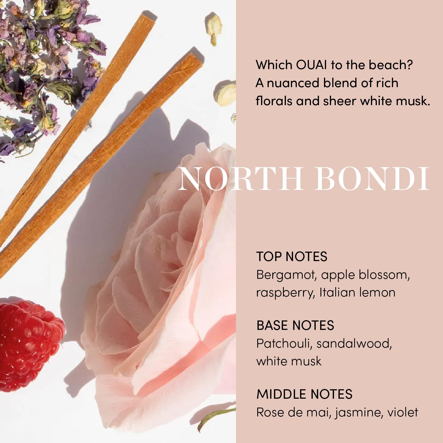 OUAI Air Dry Foam - Conditioning Mousse for Beach Waves with Kale and Carrot Extract - Paraben, Phthalate and Sulfate Free Hair Product (4 Oz)