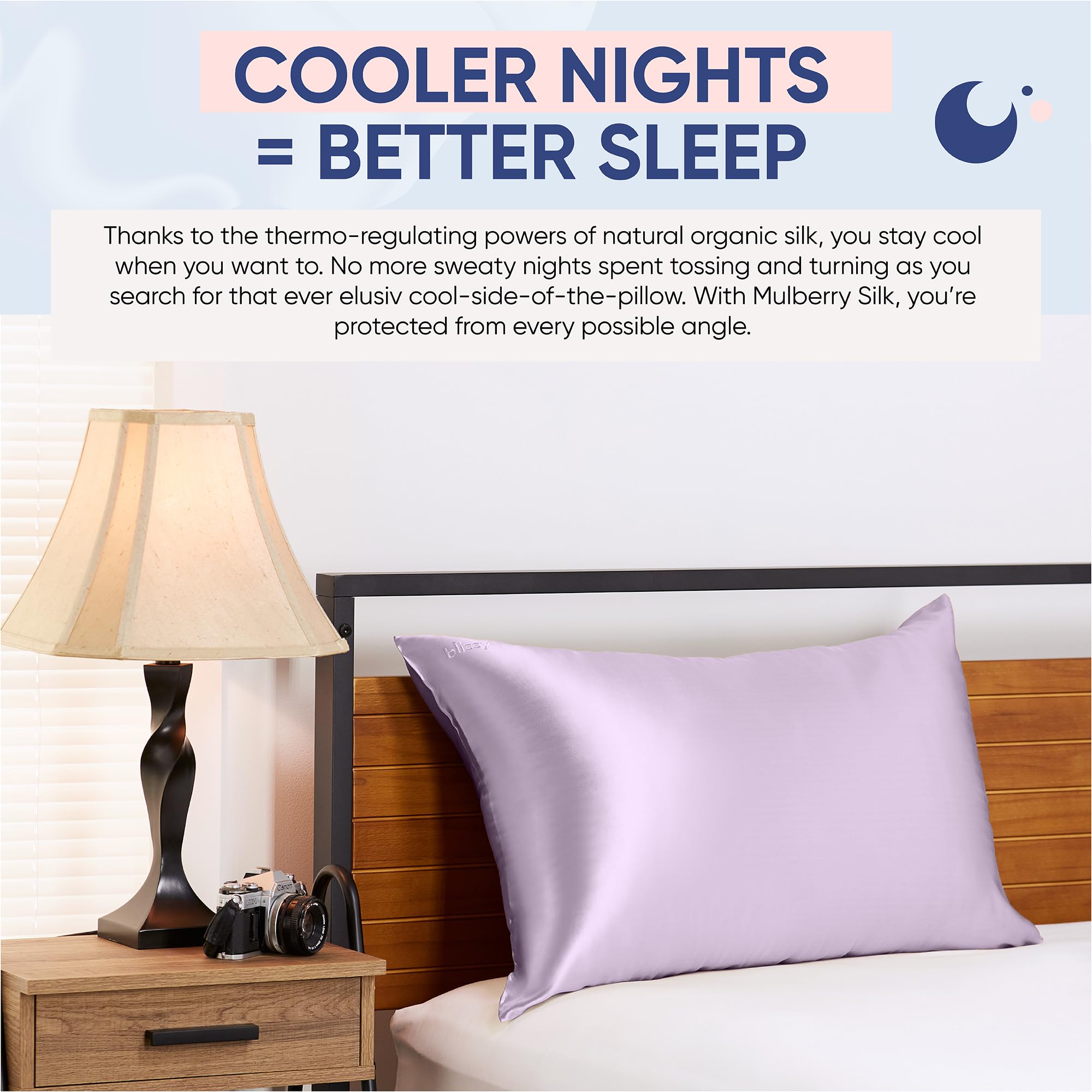 Blissy Silk Pillowcase - 100% Pure Mulberry Silk - 22 Momme 6A High-Grade Fibers - Silk Pillow Cover for Hair & Skin - Regular, Queen & King with Hidden Zipper (Queen, Champagne)