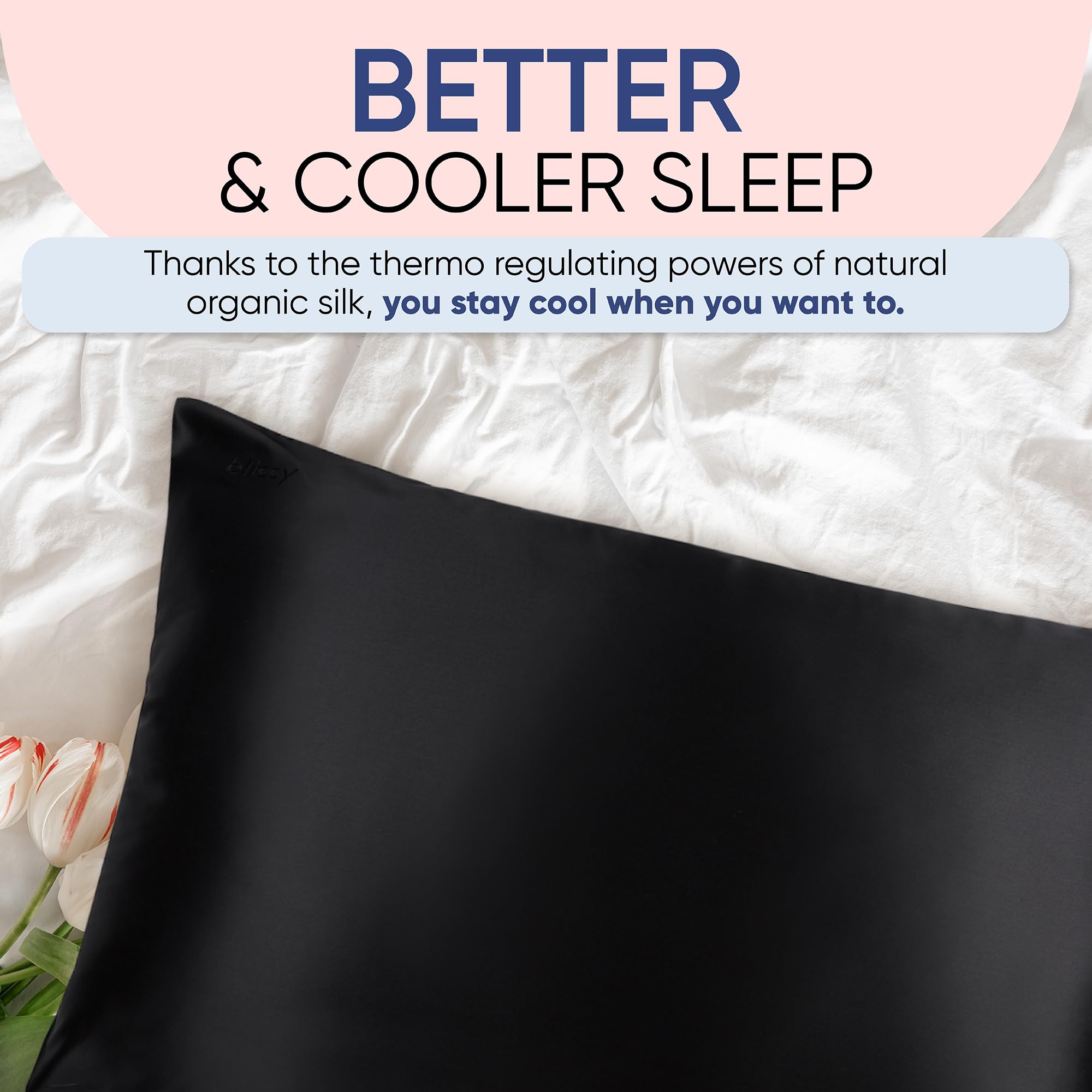 Blissy Silk Pillowcase - 100% Pure Mulberry Silk - 22 Momme 6A High-Grade Fibers - Silk Pillow Cover for Hair & Skin - Regular, Queen & King with Hidden Zipper (Standard,Blissy White)