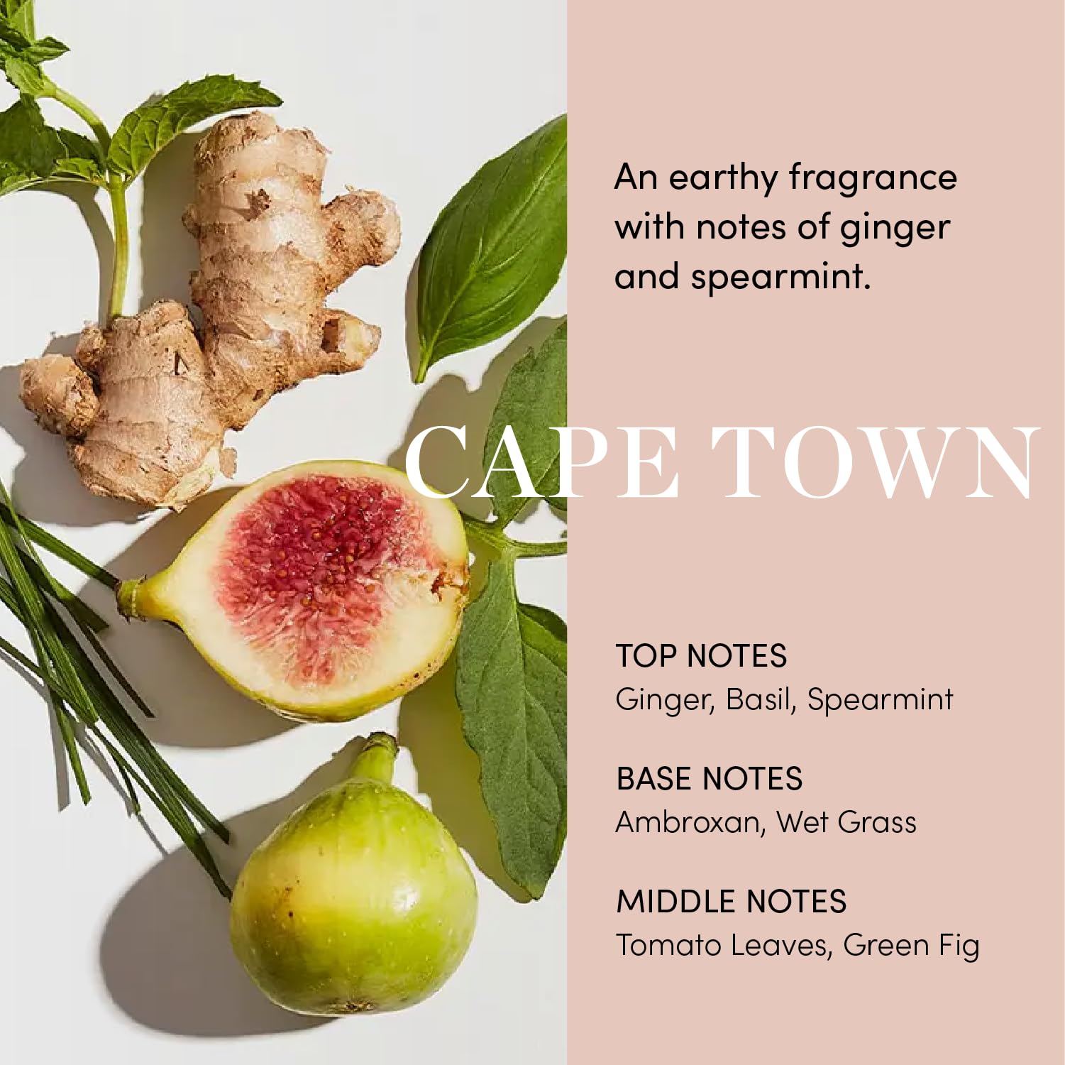 OUAI Scalp Serum - Balancing and Hydrating Serum with Red Clover Extract, Siberian Ginseng and Peptides for Thicker and Fuller-Looking Hair - Paraben, Phthalate and Sulfate Free Scalp Care (2 Fl Oz)