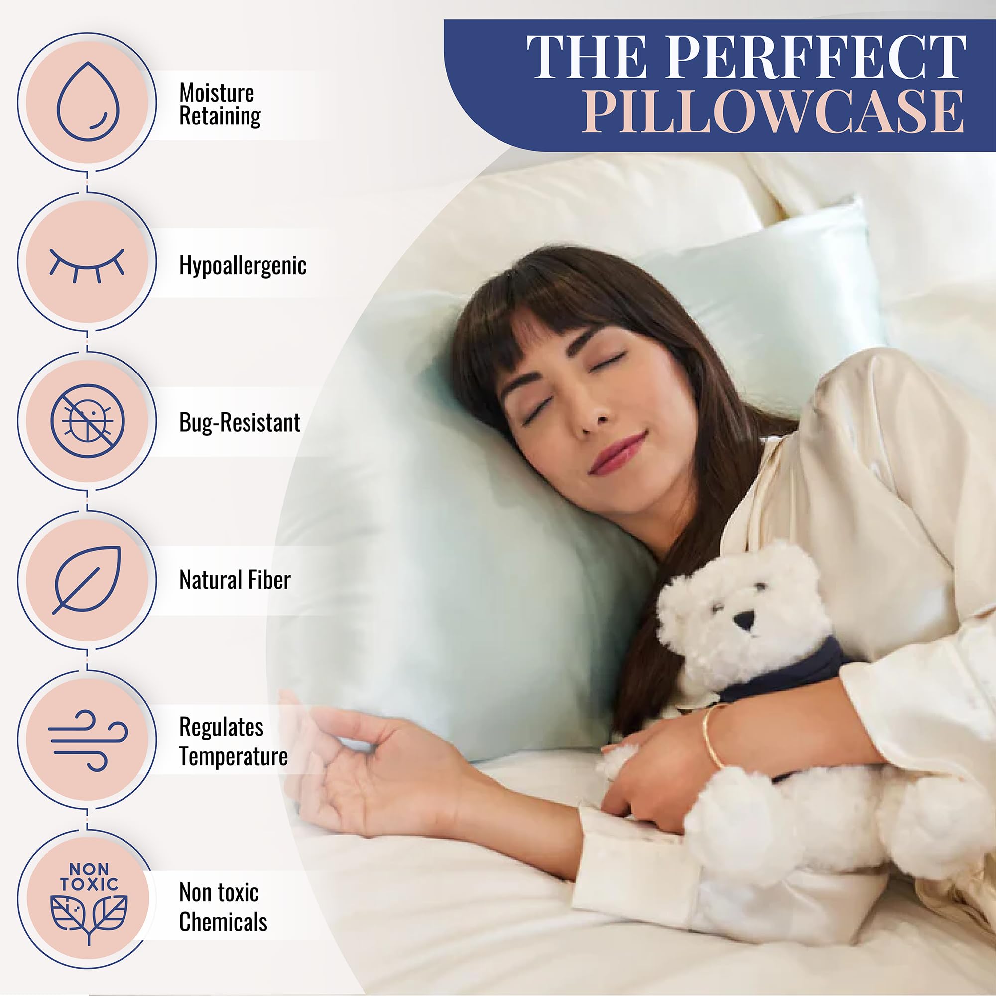 Blissy Silk Pillowcase - 100% Pure Mulberry Silk - 22 Momme 6A High-Grade Fibers - Silk Pillow Cover for Hair & Skin - Regular, Queen & King with Hidden Zipper (Standard,Blissy White)