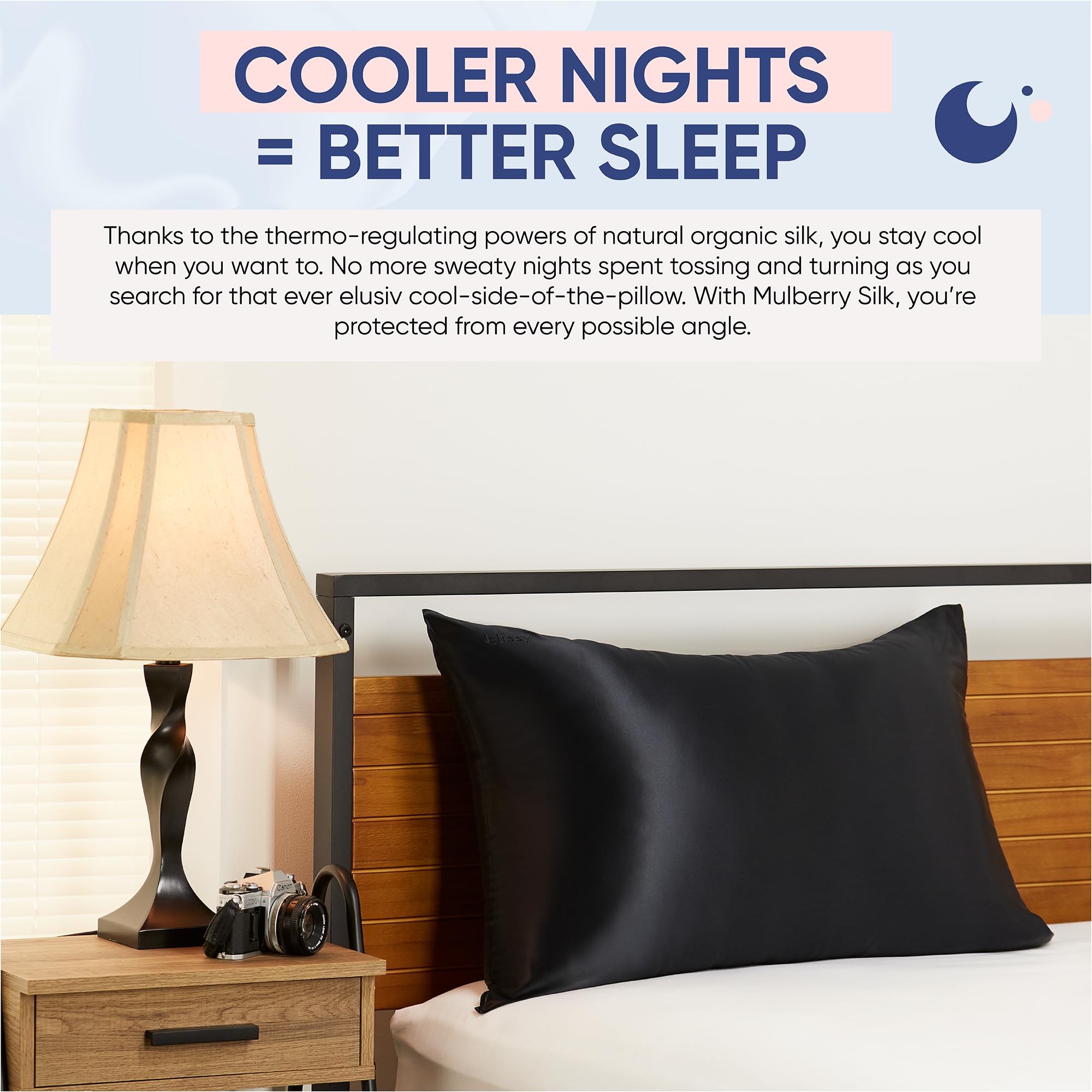 Blissy Silk Pillowcase - 100% Pure Mulberry Silk - 22 Momme 6A High-Grade Fibers - Silk Pillow Cover for Hair & Skin - Regular, Queen & King with Hidden Zipper (Queen, Champagne)