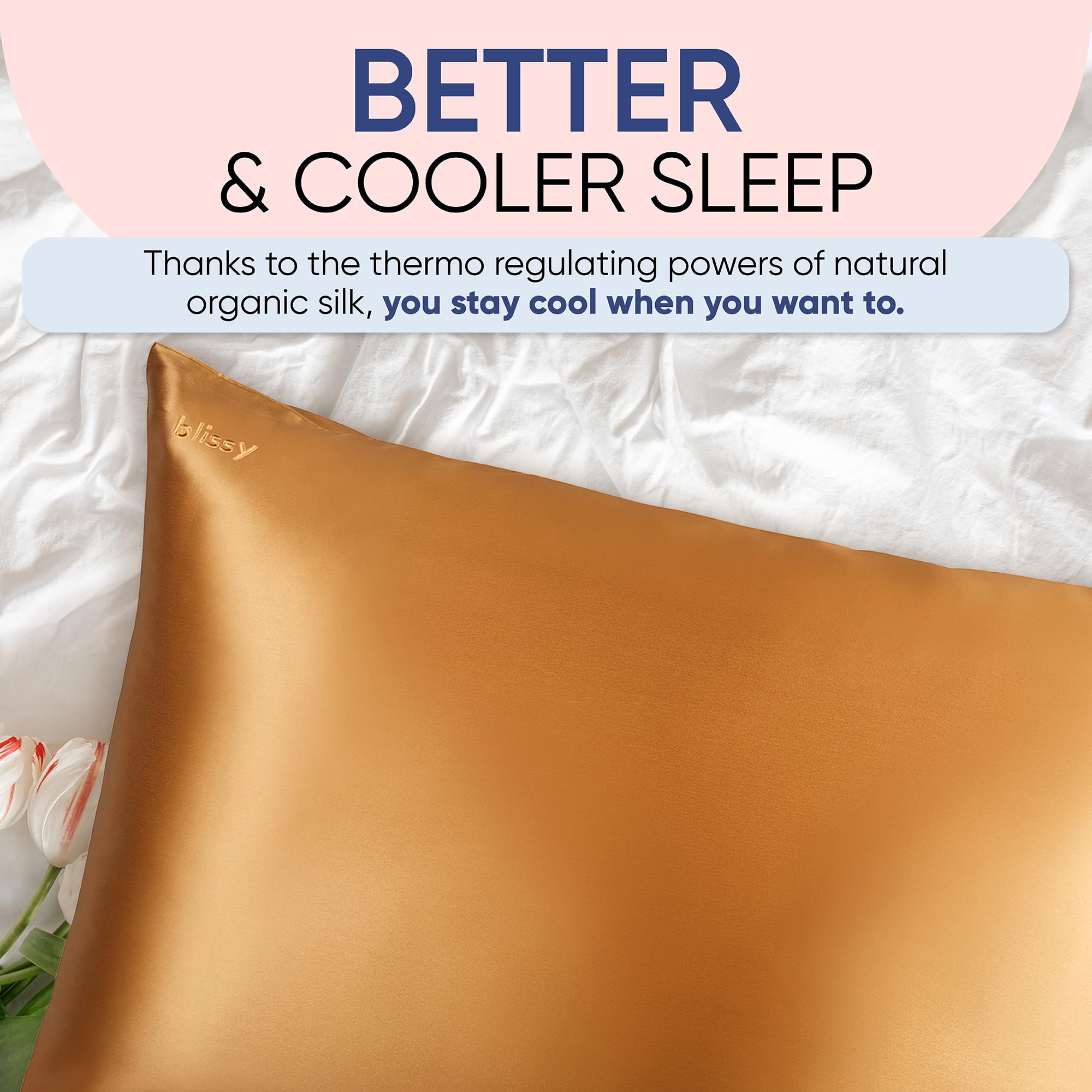 Blissy Silk Pillowcase - 100% Pure Mulberry Silk - 22 Momme 6A High-Grade Fibers - Silk Pillow Cover for Hair & Skin - Regular, Queen & King with Hidden Zipper (Queen, Champagne)