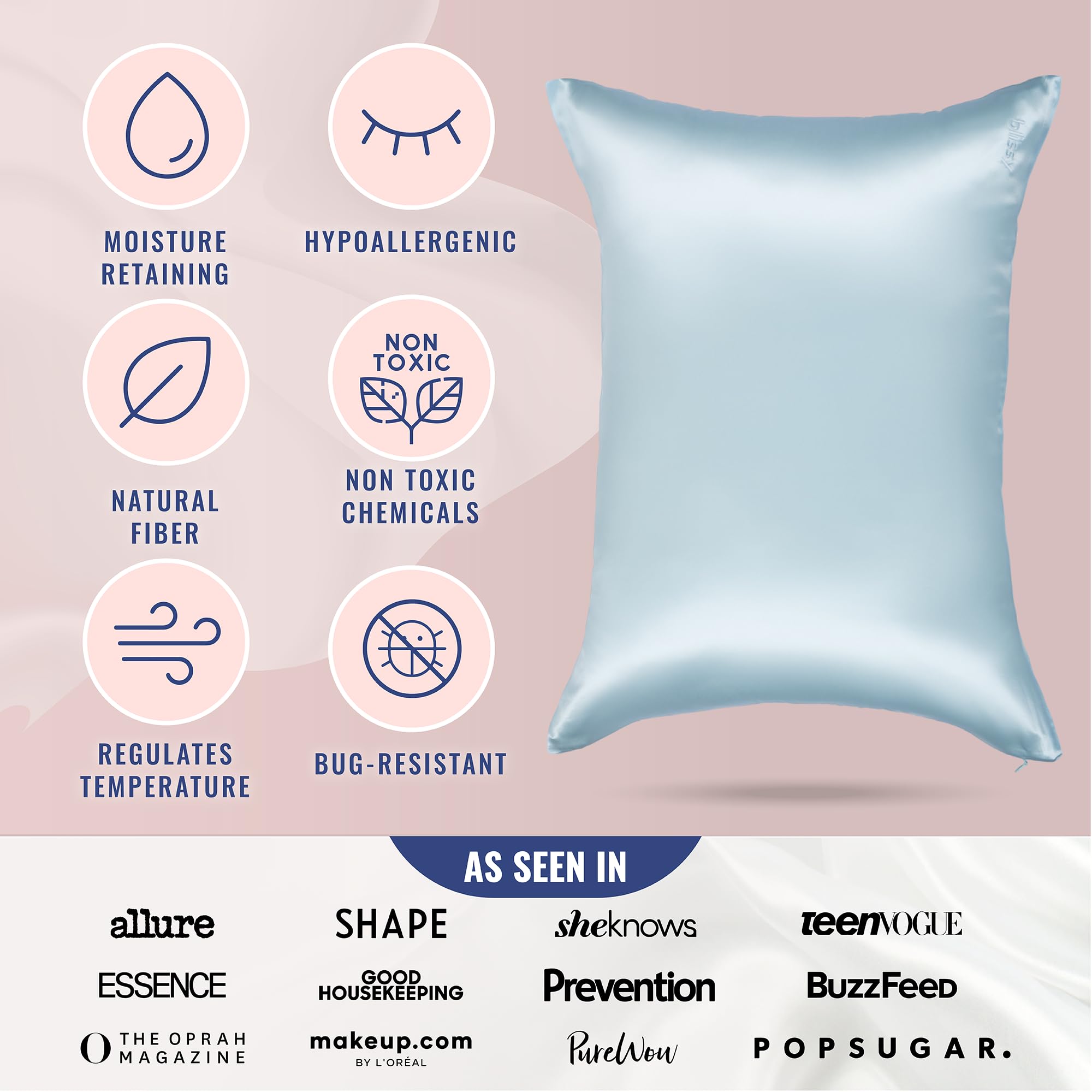 Blissy Silk Pillowcase - 100% Pure Mulberry Silk - 22 Momme 6A High-Grade Fibers - Silk Pillow Cover for Hair & Skin - Regular, Queen & King with Hidden Zipper (Standard,Blissy White)