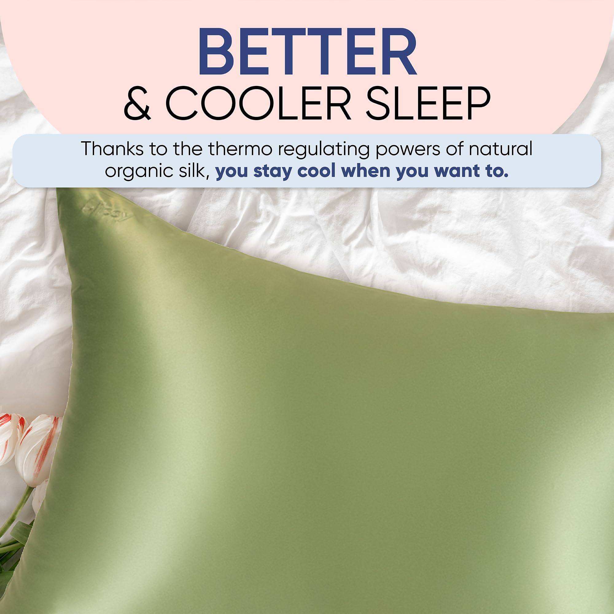 Blissy Silk Pillowcase - 100% Pure Mulberry Silk - 22 Momme 6A High-Grade Fibers - Silk Pillow Cover for Hair & Skin - Regular, Queen & King with Hidden Zipper (Standard,Blissy White)