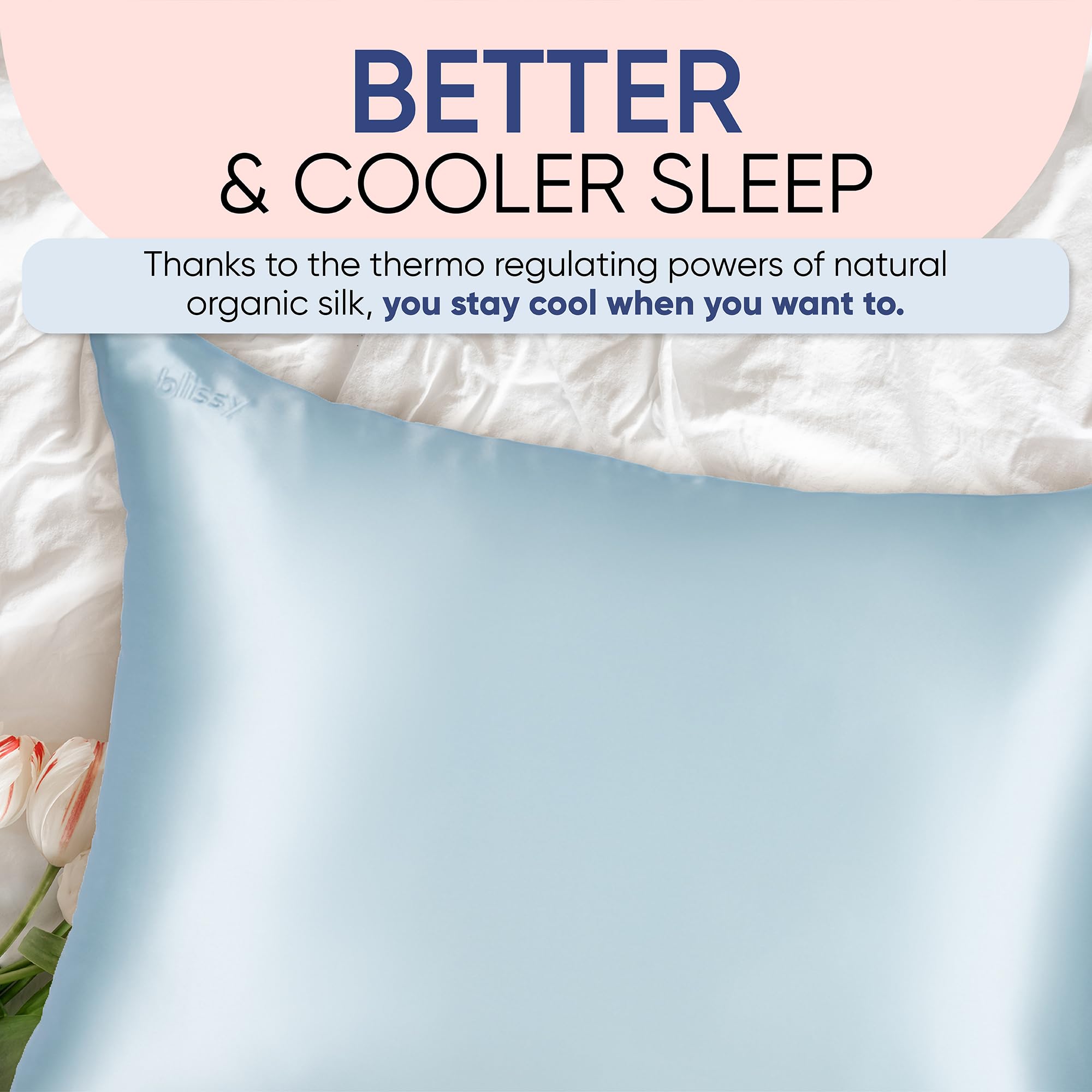 Blissy Silk Pillowcase - 100% Pure Mulberry Silk - 22 Momme 6A High-Grade Fibers - Silk Pillow Cover for Hair & Skin - Regular, Queen & King with Hidden Zipper (Standard,Blissy White)