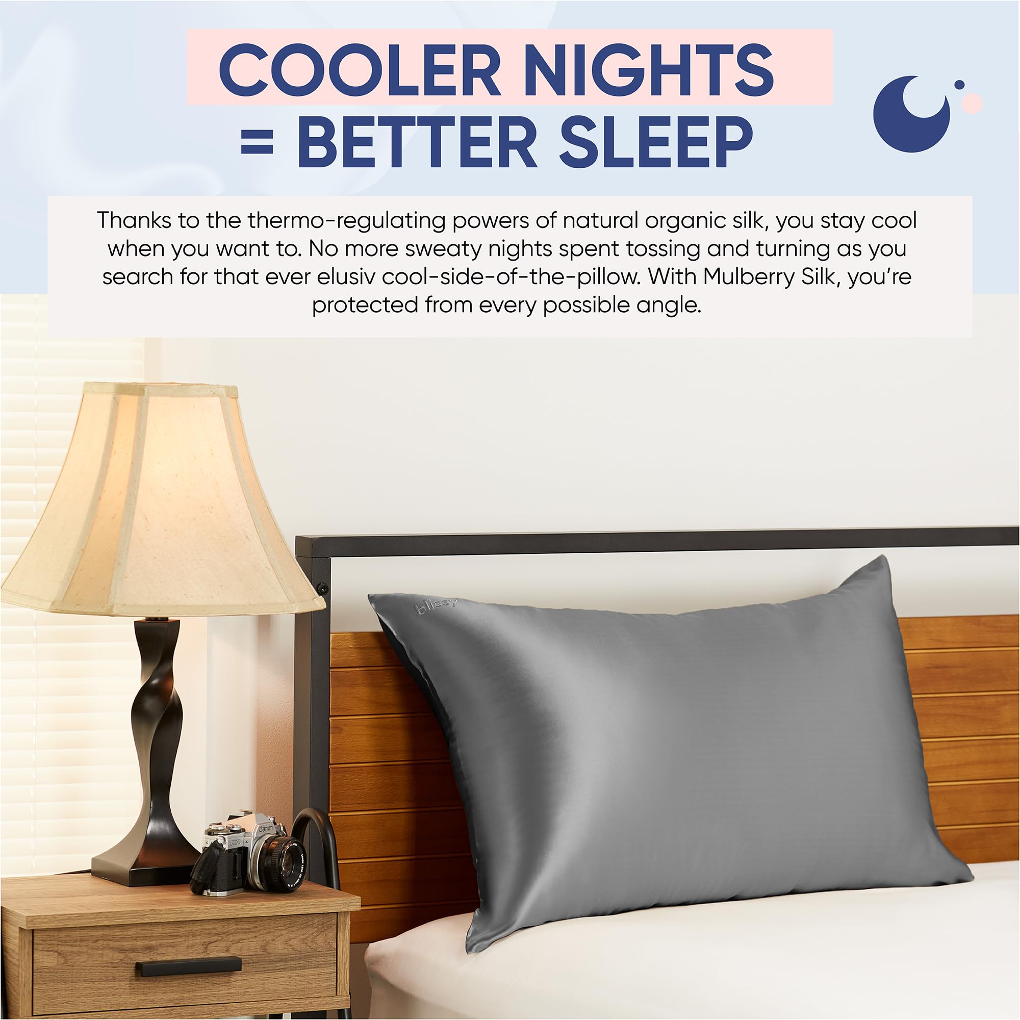 Blissy Silk Pillowcase - 100% Pure Mulberry Silk - 22 Momme 6A High-Grade Fibers - Silk Pillow Cover for Hair & Skin - Regular, Queen & King with Hidden Zipper (Standard,Blissy White)