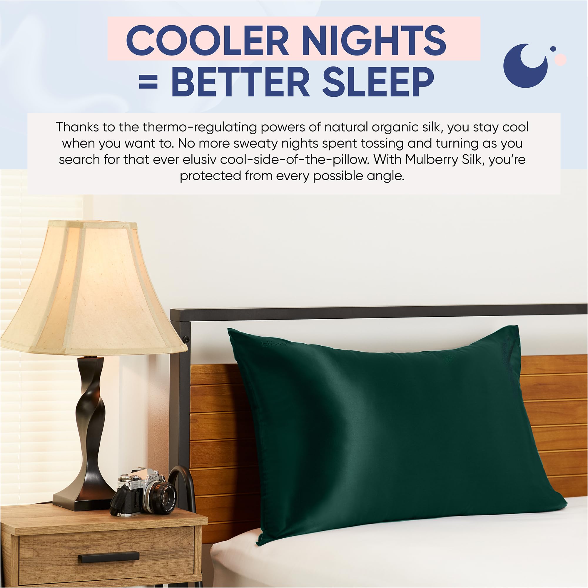 Blissy Silk Pillowcase - 100% Pure Mulberry Silk - 22 Momme 6A High-Grade Fibers - Silk Pillow Cover for Hair & Skin - Regular, Queen & King with Hidden Zipper (Queen, Champagne)