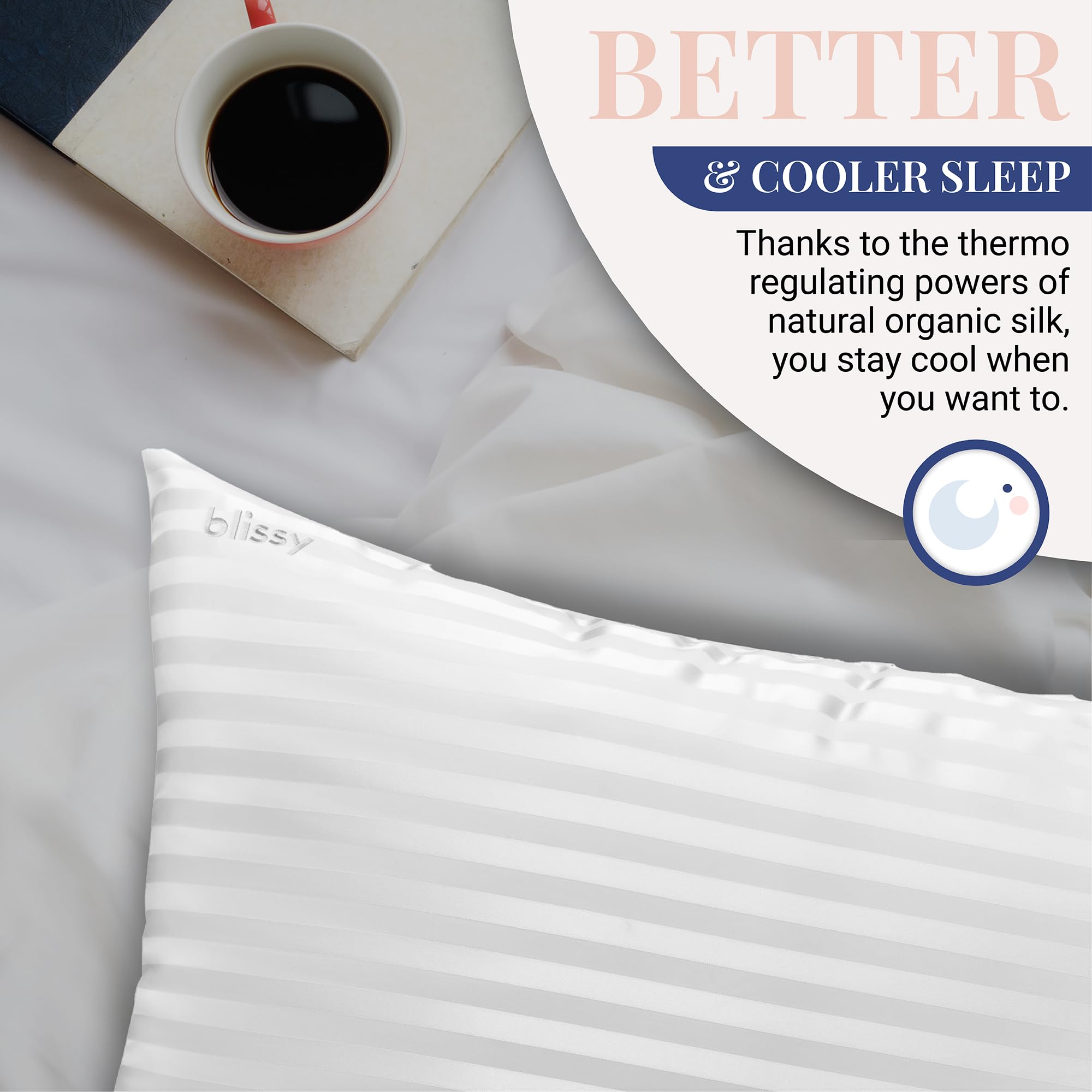 Blissy Silk Pillowcase - 100% Pure Mulberry Silk - 22 Momme 6A High-Grade Fibers - Silk Pillow Cover for Hair & Skin - Regular, Queen & King with Hidden Zipper (Queen, Champagne)