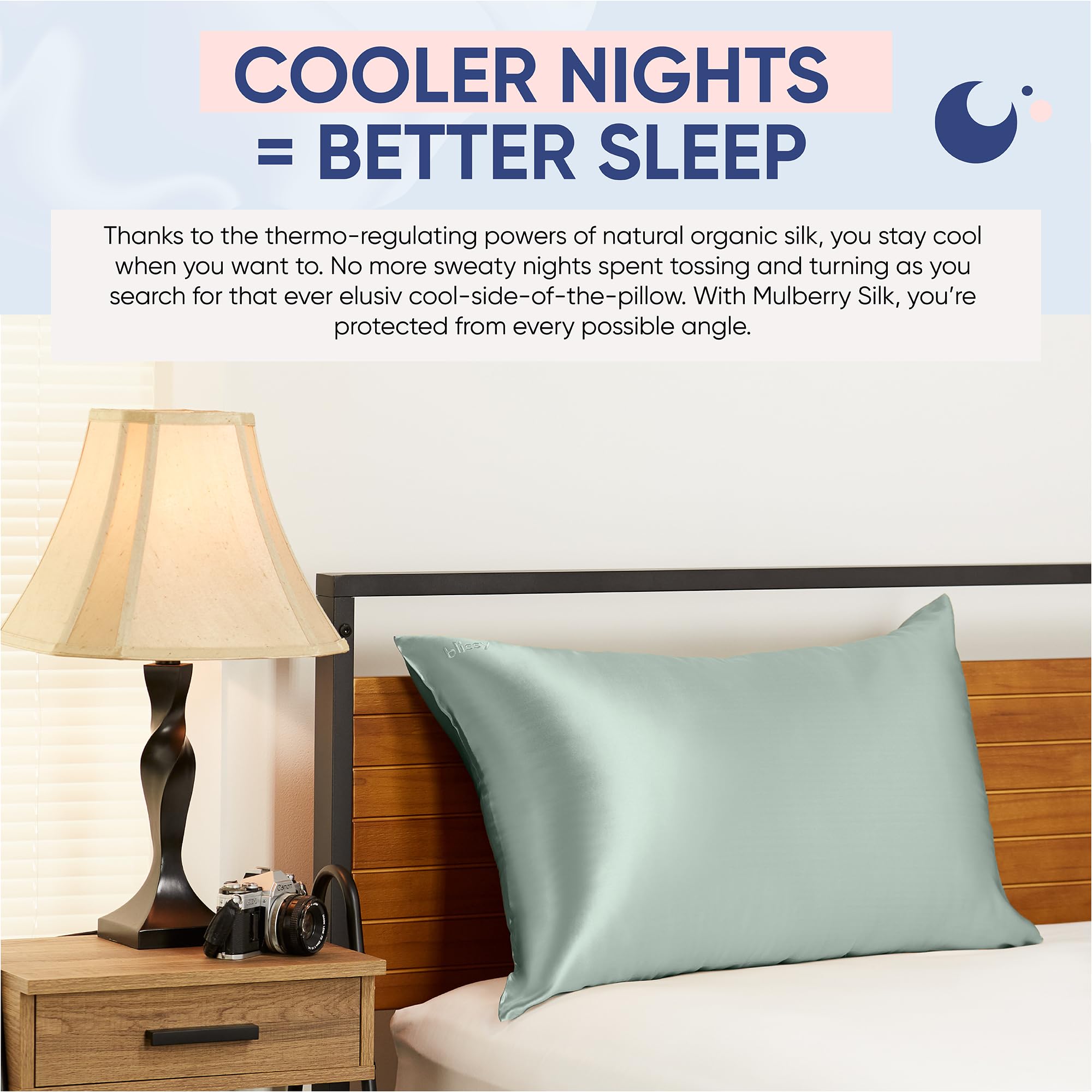 Blissy Silk Pillowcase - 100% Pure Mulberry Silk - 22 Momme 6A High-Grade Fibers - Silk Pillow Cover for Hair & Skin - Regular, Queen & King with Hidden Zipper (Queen, Champagne)