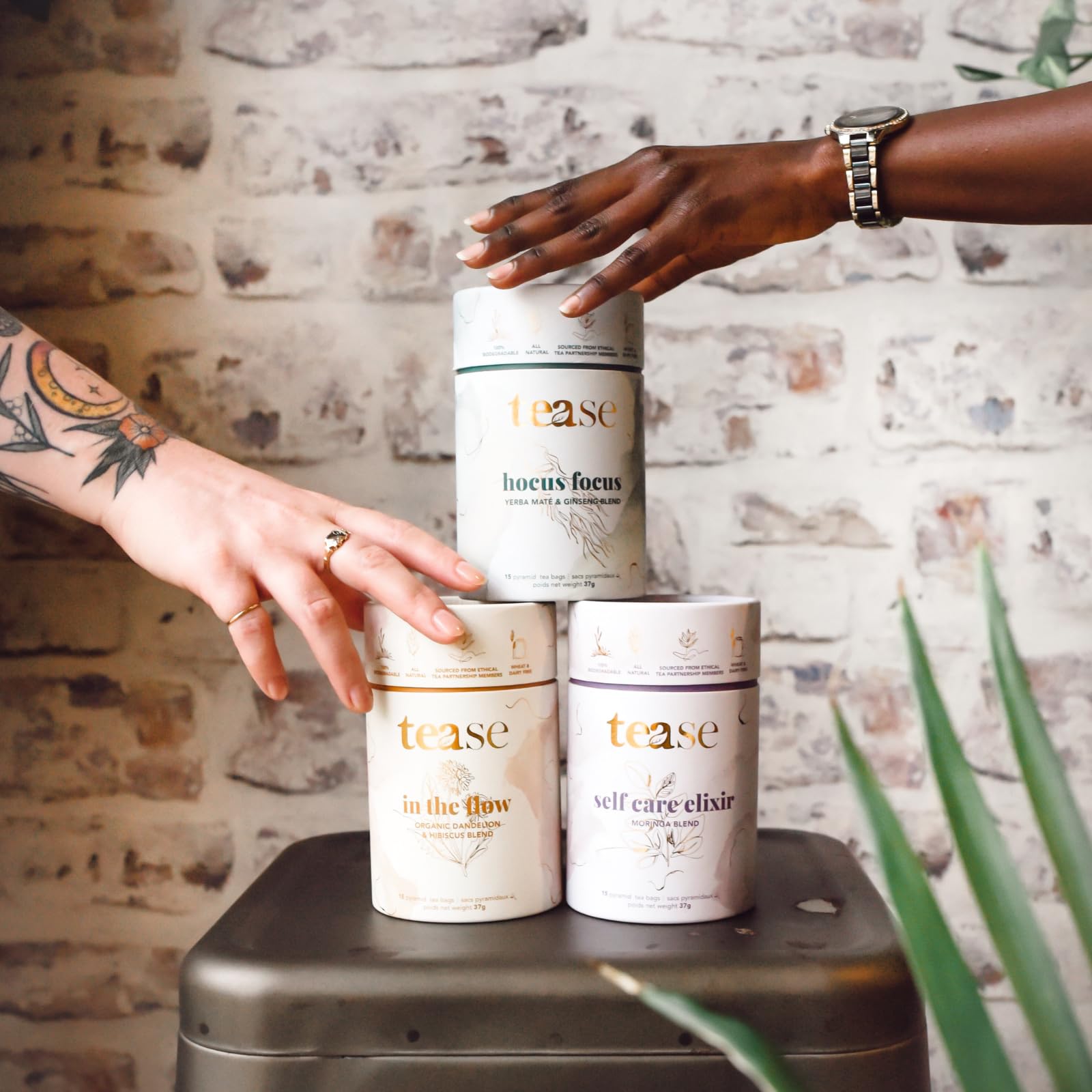 Tease Tea Organic Tea Tube Gift Set | 15 Piece Botanical Pyramid Tea Bag Infuser Sachets Loose Leaf Support Citrusy Blend with Rooibos, Peppermint, Valerian Root Caffeine Free 37g (Golden Slumbers)