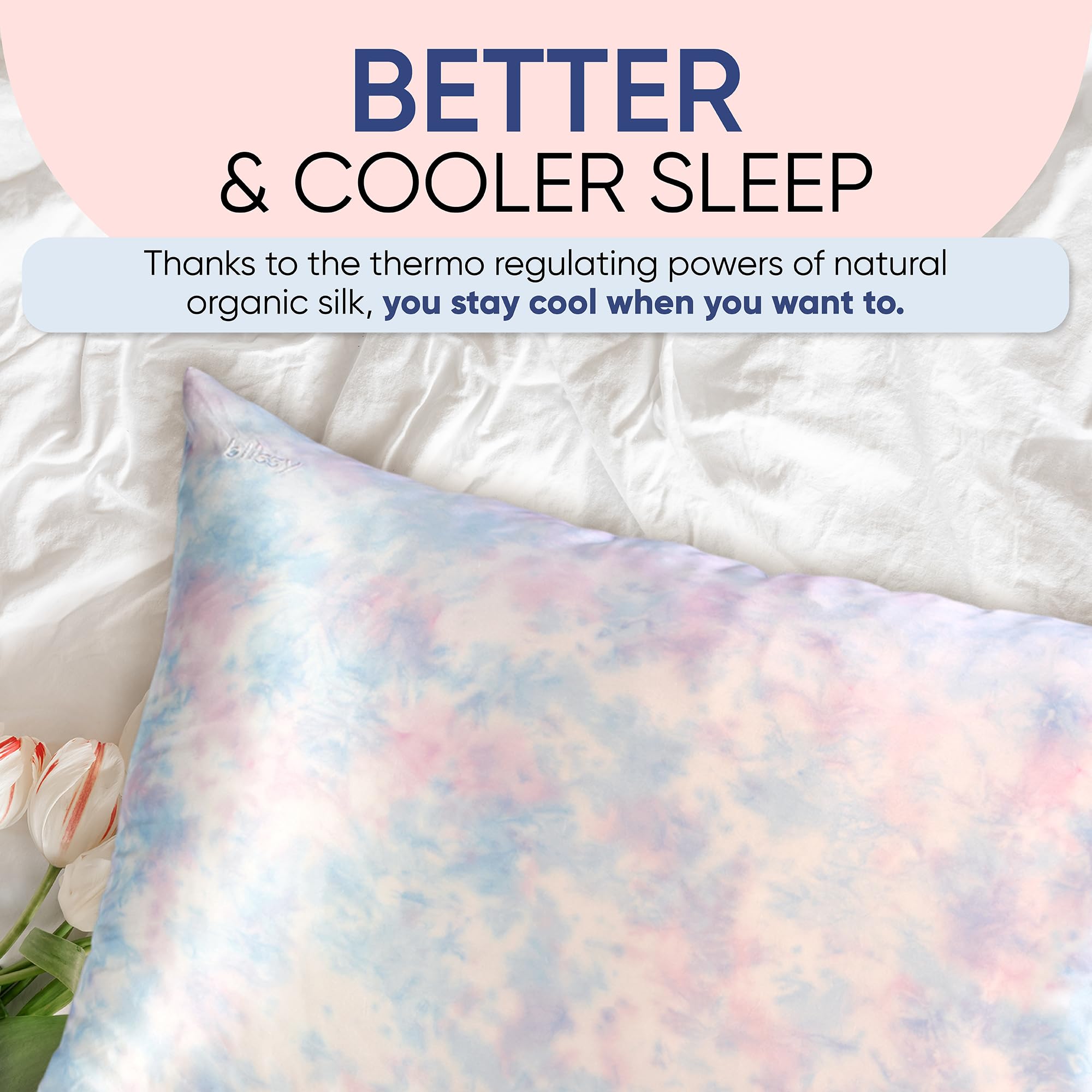 Blissy Silk Pillowcase - 100% Pure Mulberry Silk - 22 Momme 6A High-Grade Fibers - Silk Pillow Cover for Hair & Skin - Regular, Queen & King with Hidden Zipper (Standard,Blissy White)