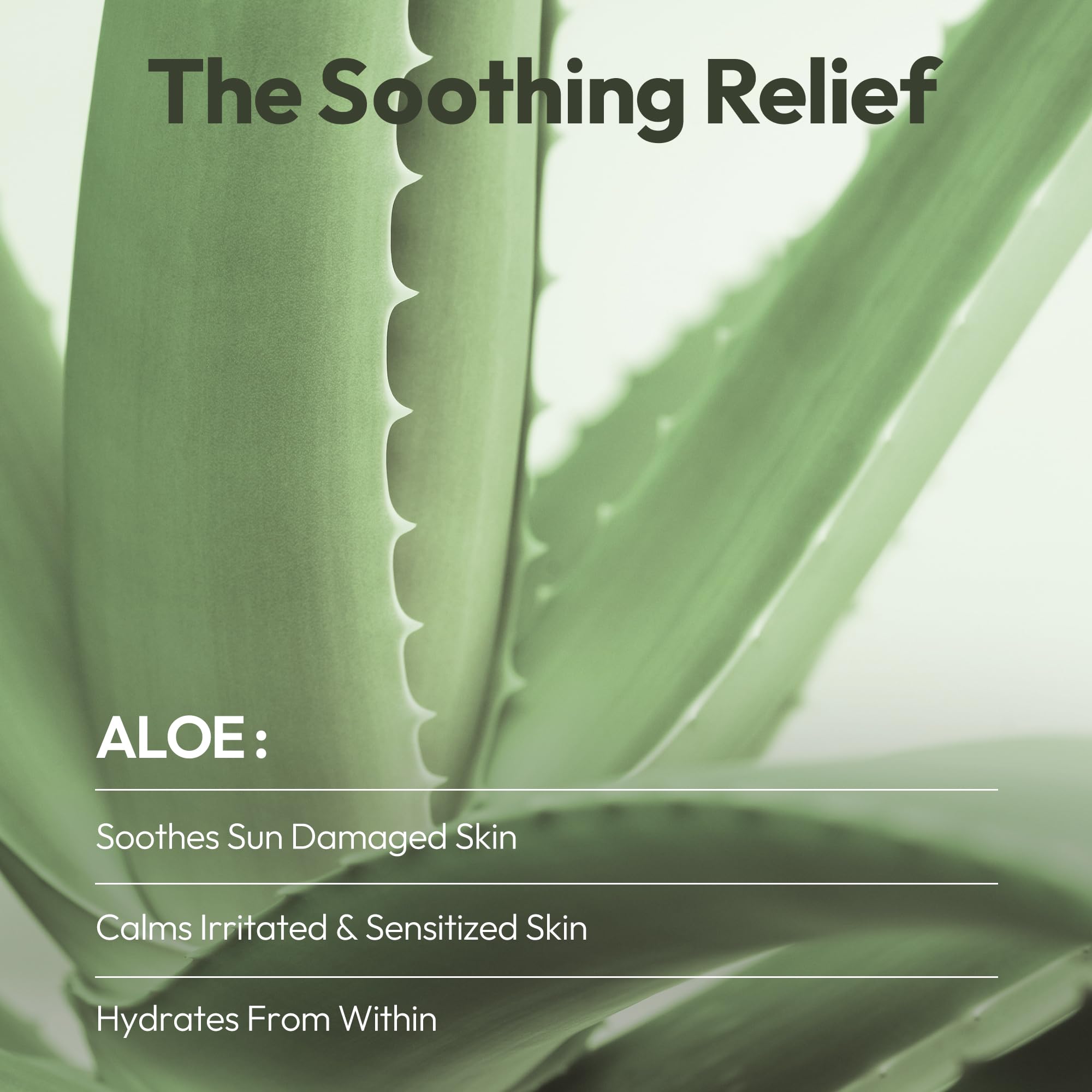 LAPCOS Pearl Sheet Mask, Daily Face Mask with Probiotics to Brighten and Clarify Skin, Korean Beauty Favorite, 5-Pack