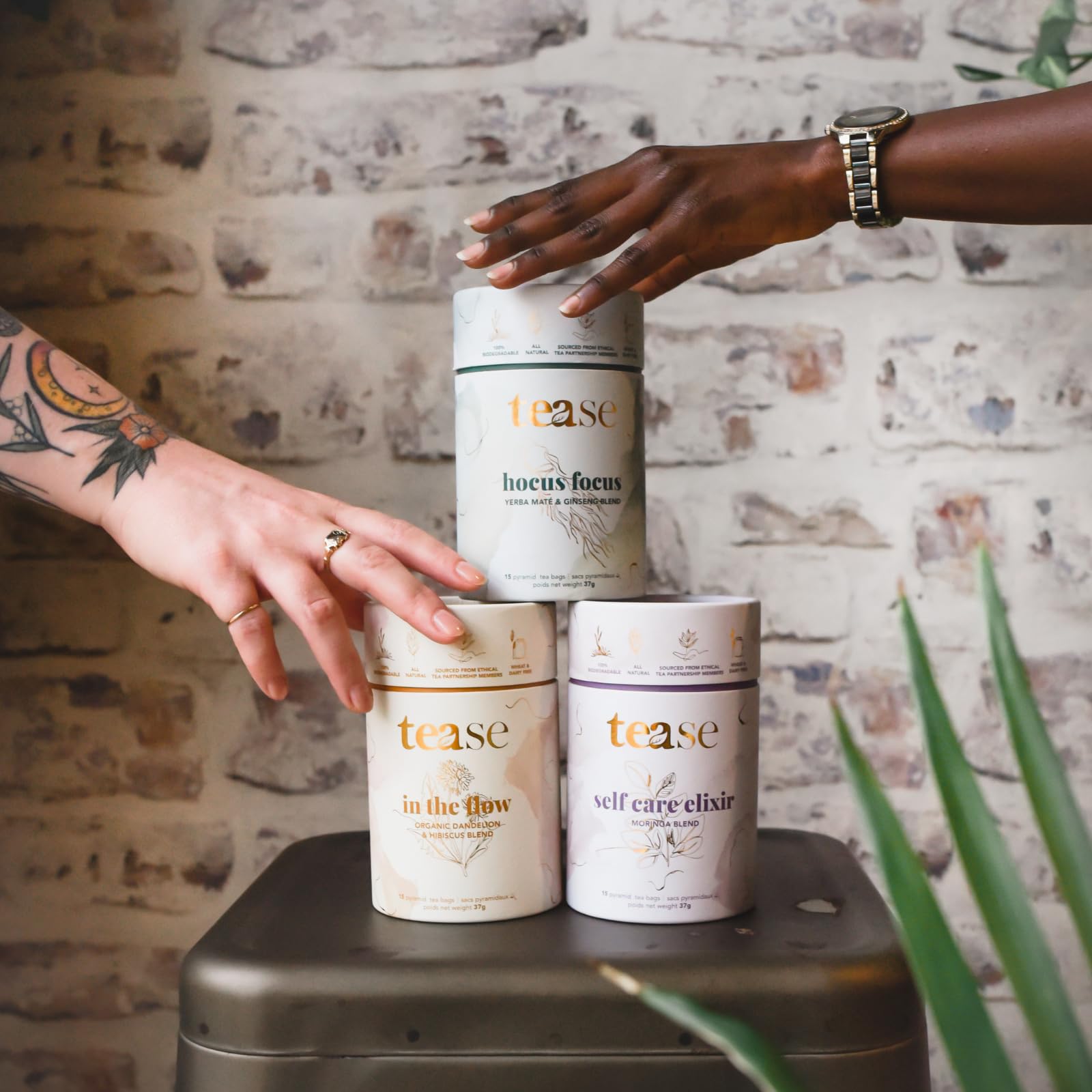 Tease Tea Organic Tea Tube Gift Set | 15 Piece Botanical Pyramid Tea Bag Infuser Sachets Loose Leaf Support Citrusy Blend with Rooibos, Peppermint, Valerian Root Caffeine Free 37g (Golden Slumbers)