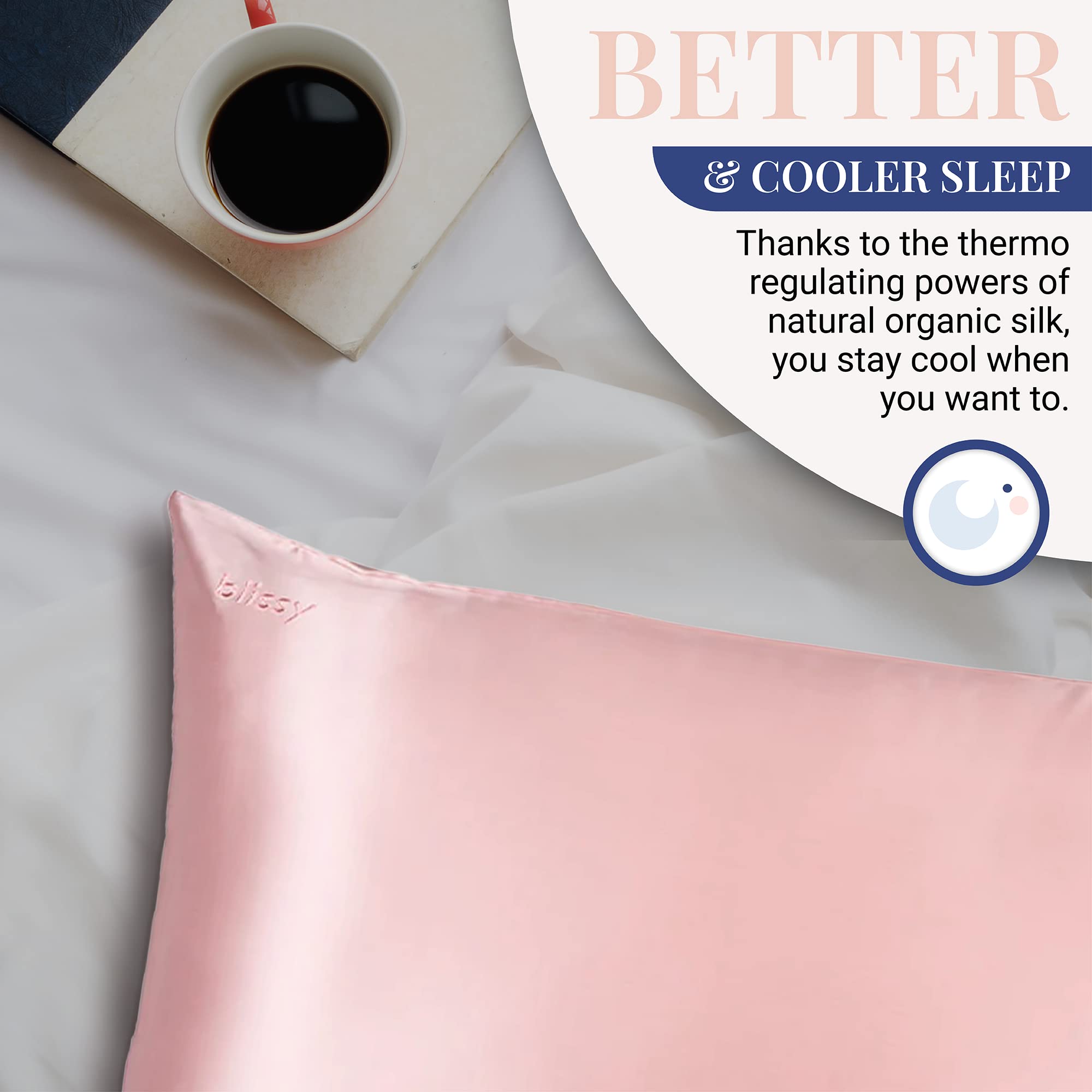 Blissy Silk Pillowcase - 100% Pure Mulberry Silk - 22 Momme 6A High-Grade Fibers - Silk Pillow Cover for Hair & Skin - Regular, Queen & King with Hidden Zipper (Standard,Blissy White)