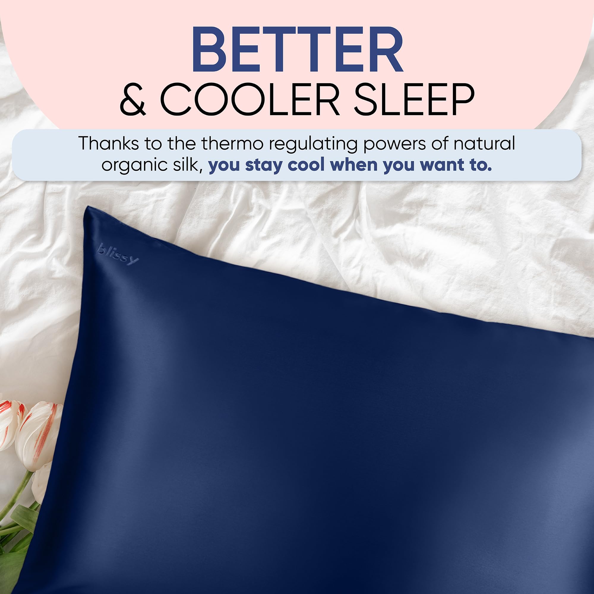 Blissy Silk Pillowcase - 100% Pure Mulberry Silk - 22 Momme 6A High-Grade Fibers - Silk Pillow Cover for Hair & Skin - Regular, Queen & King with Hidden Zipper (Queen, Plum)