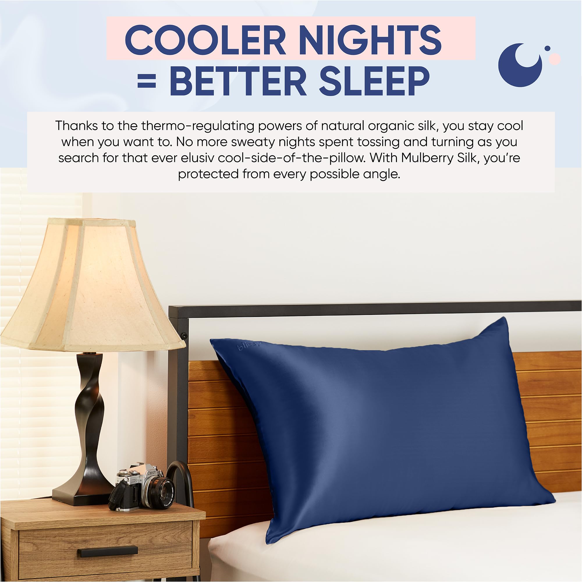 Blissy Silk Pillowcase - 100% Pure Mulberry Silk - 22 Momme 6A High-Grade Fibers - Silk Pillow Cover for Hair & Skin - Regular, Queen & King with Hidden Zipper (Queen, Plum)