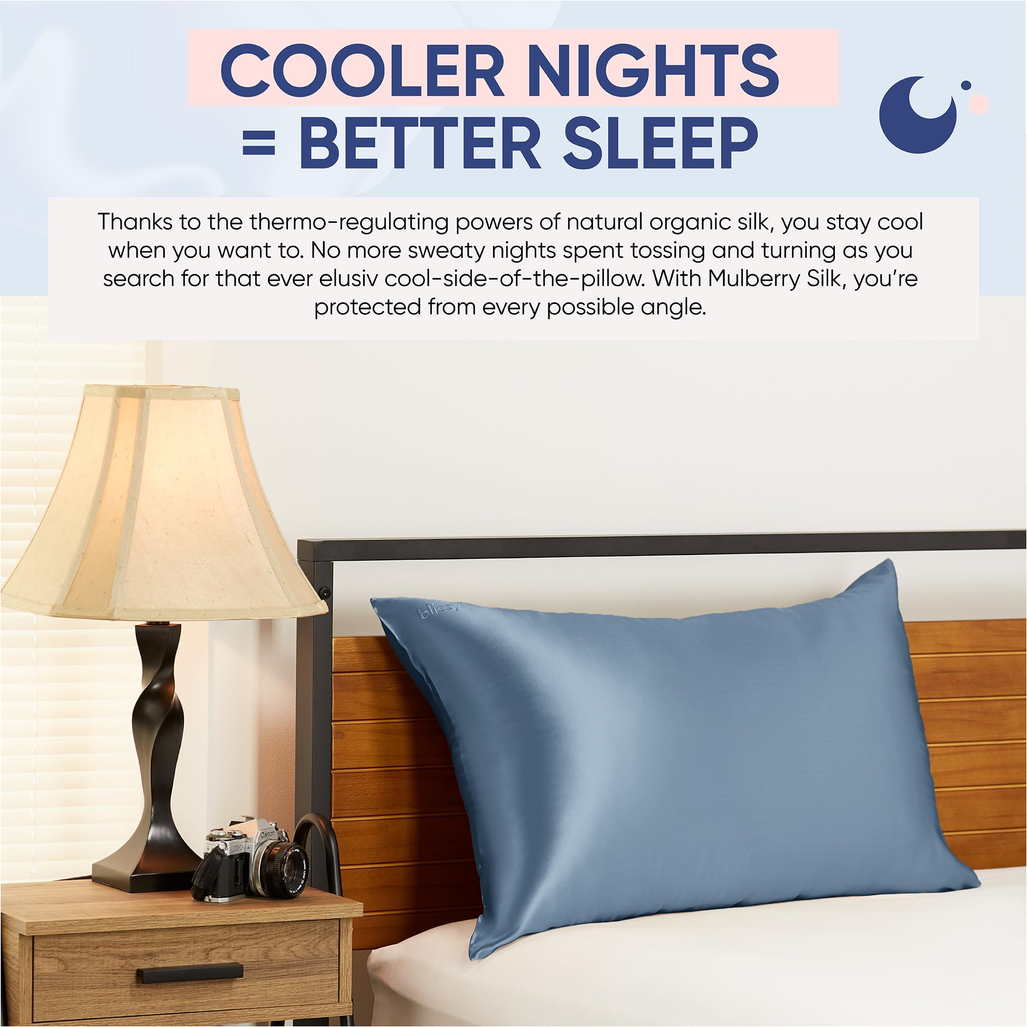 Blissy Silk Pillowcase - 100% Pure Mulberry Silk - 22 Momme 6A High-Grade Fibers - Silk Pillow Cover for Hair & Skin - Regular, Queen & King with Hidden Zipper (Queen, Champagne)