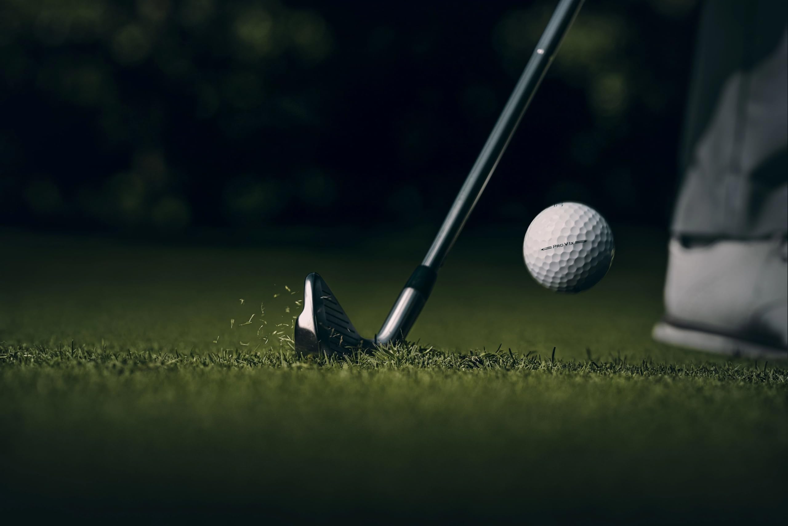 Titleist Pro V1x Golf Balls (One Dozen)