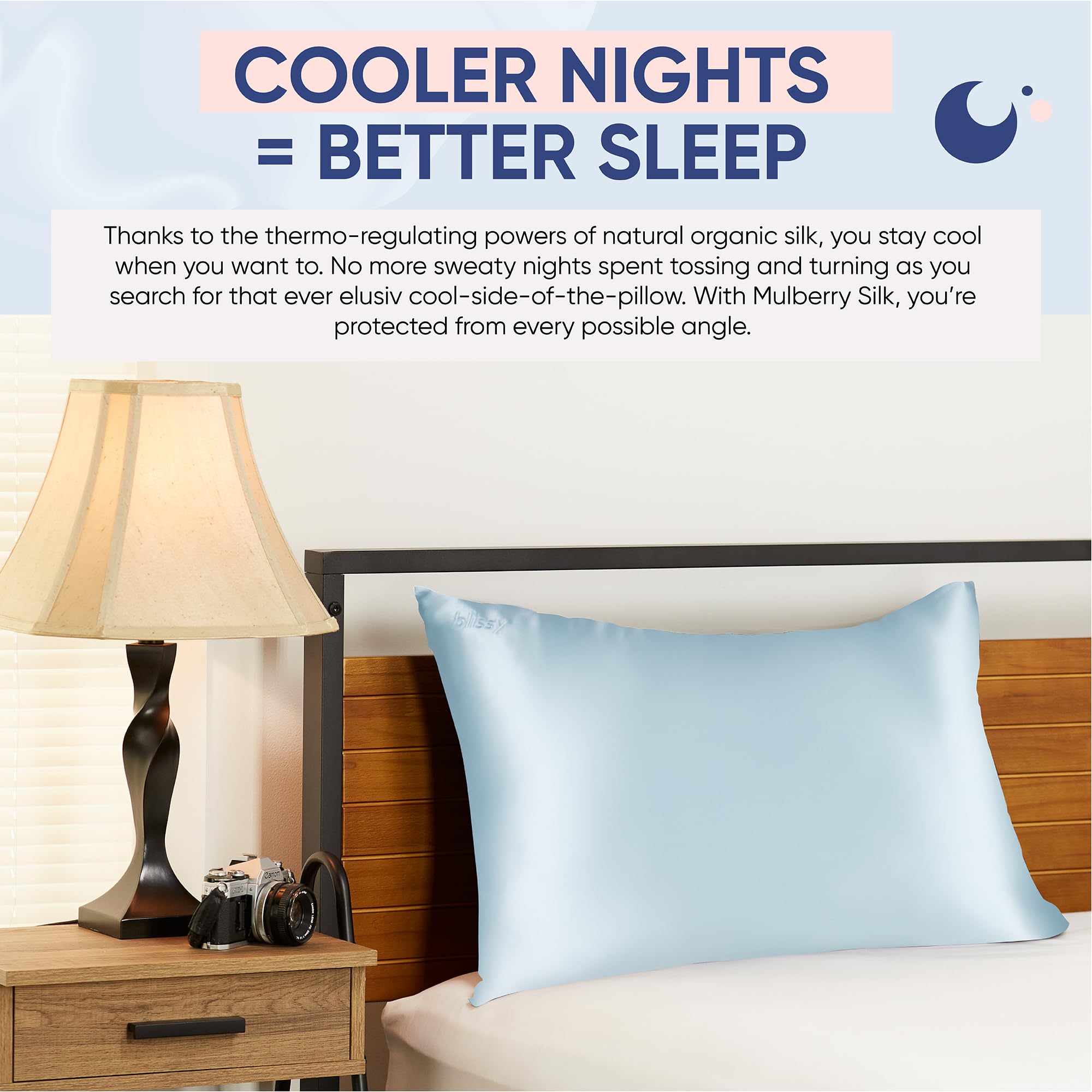 Blissy Silk Pillowcase - 100% Pure Mulberry Silk - 22 Momme 6A High-Grade Fibers - Silk Pillow Cover for Hair & Skin - Regular, Queen & King with Hidden Zipper (Standard,Blissy White)