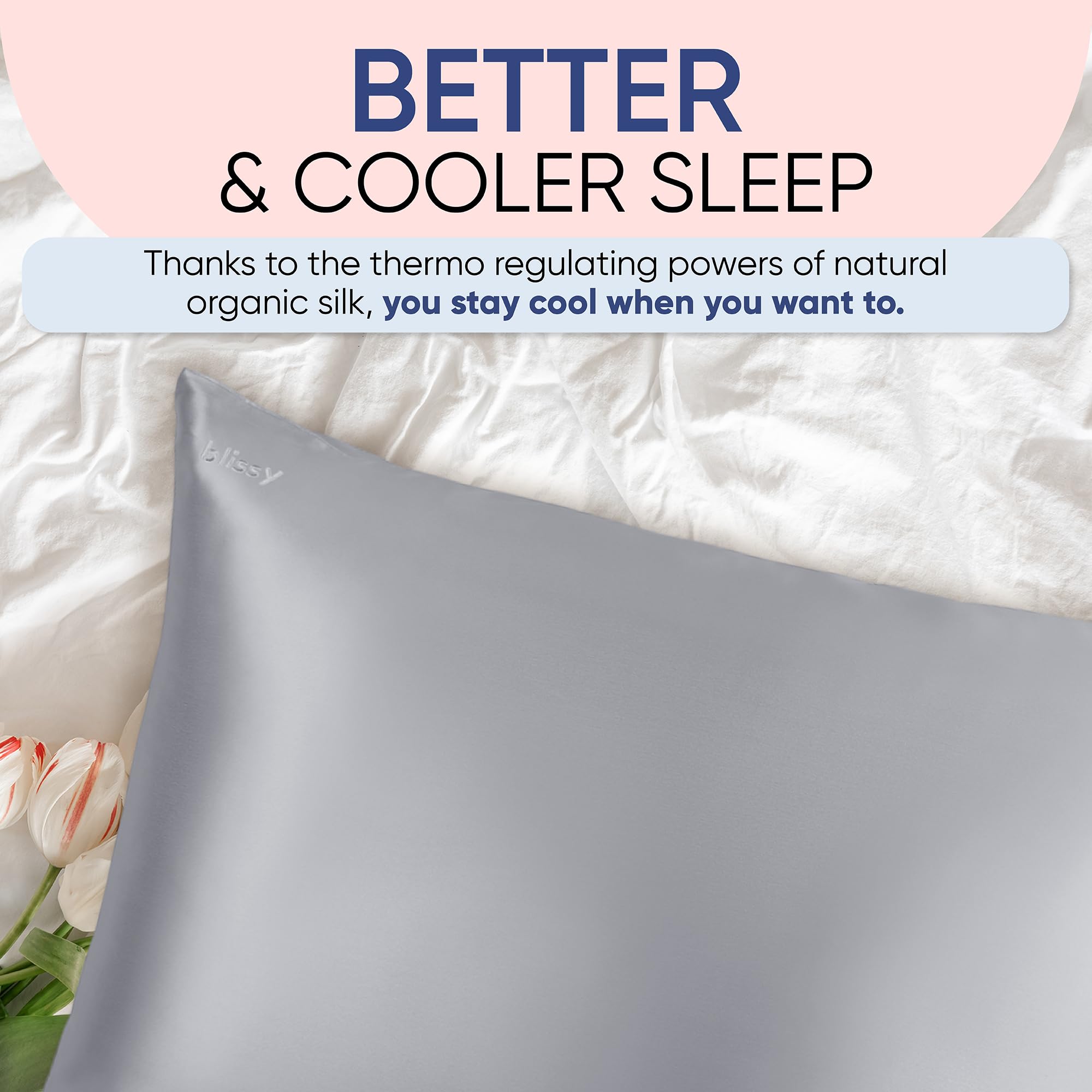 Blissy Silk Pillowcase - 100% Pure Mulberry Silk - 22 Momme 6A High-Grade Fibers - Silk Pillow Cover for Hair & Skin - Regular, Queen & King with Hidden Zipper (Standard,Blissy White)