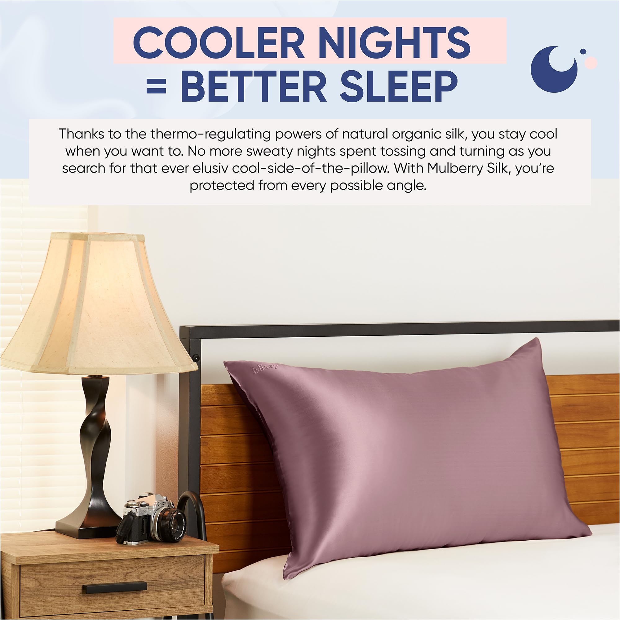 Blissy Silk Pillowcase - 100% Pure Mulberry Silk - 22 Momme 6A High-Grade Fibers - Silk Pillow Cover for Hair & Skin - Regular, Queen & King with Hidden Zipper (Queen, Plum)