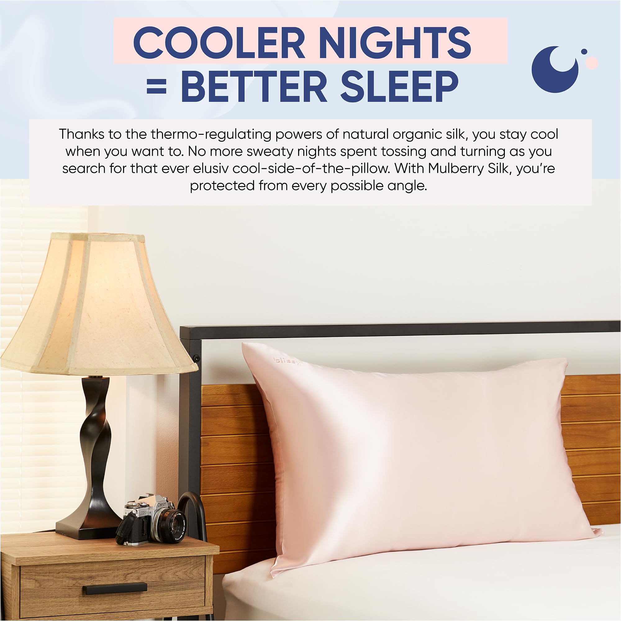 Blissy Silk Pillowcase - 100% Pure Mulberry Silk - 22 Momme 6A High-Grade Fibers - Silk Pillow Cover for Hair & Skin - Regular, Queen & King with Hidden Zipper (Queen, Champagne)