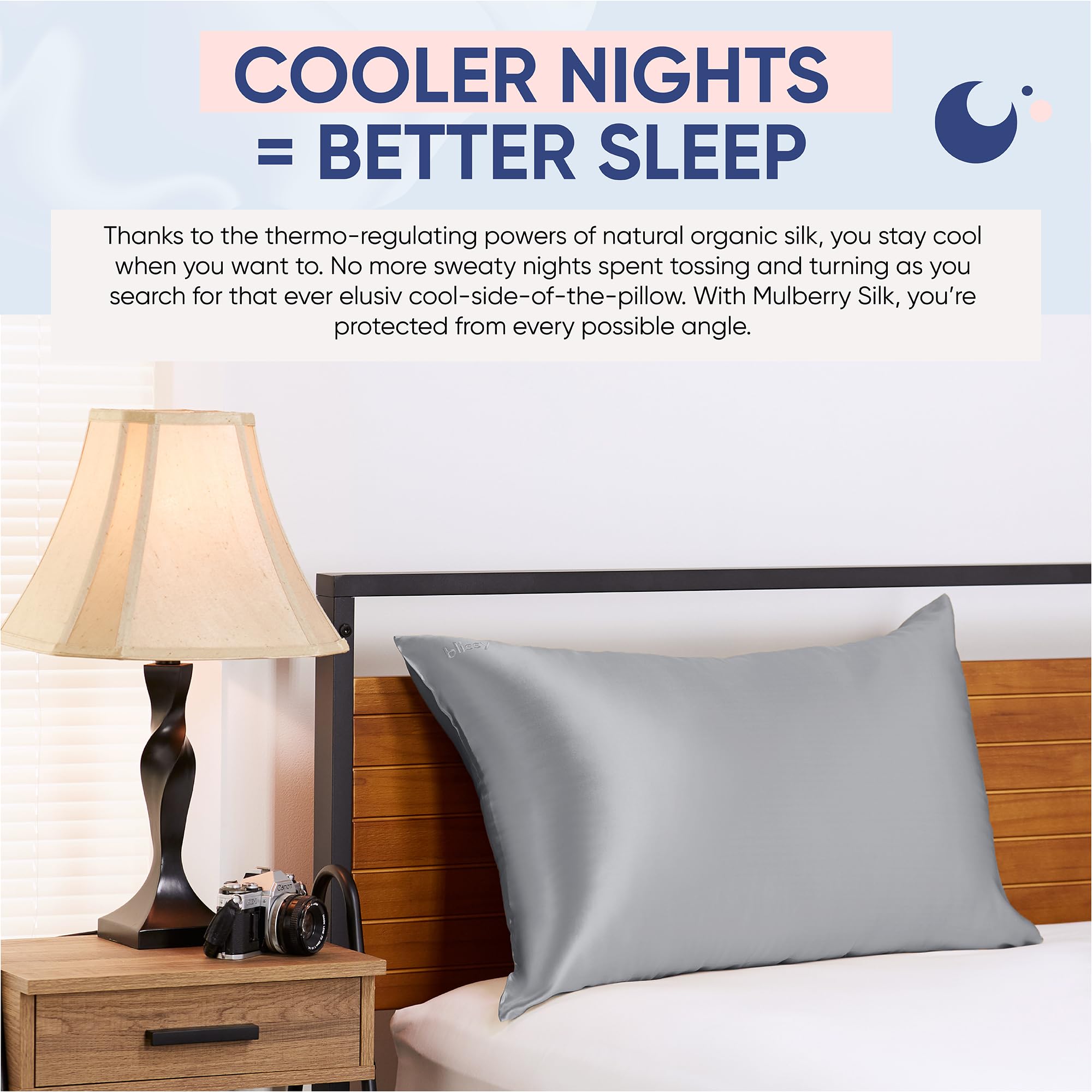 Blissy Silk Pillowcase - 100% Pure Mulberry Silk - 22 Momme 6A High-Grade Fibers - Silk Pillow Cover for Hair & Skin - Regular, Queen & King with Hidden Zipper (Queen, Plum)