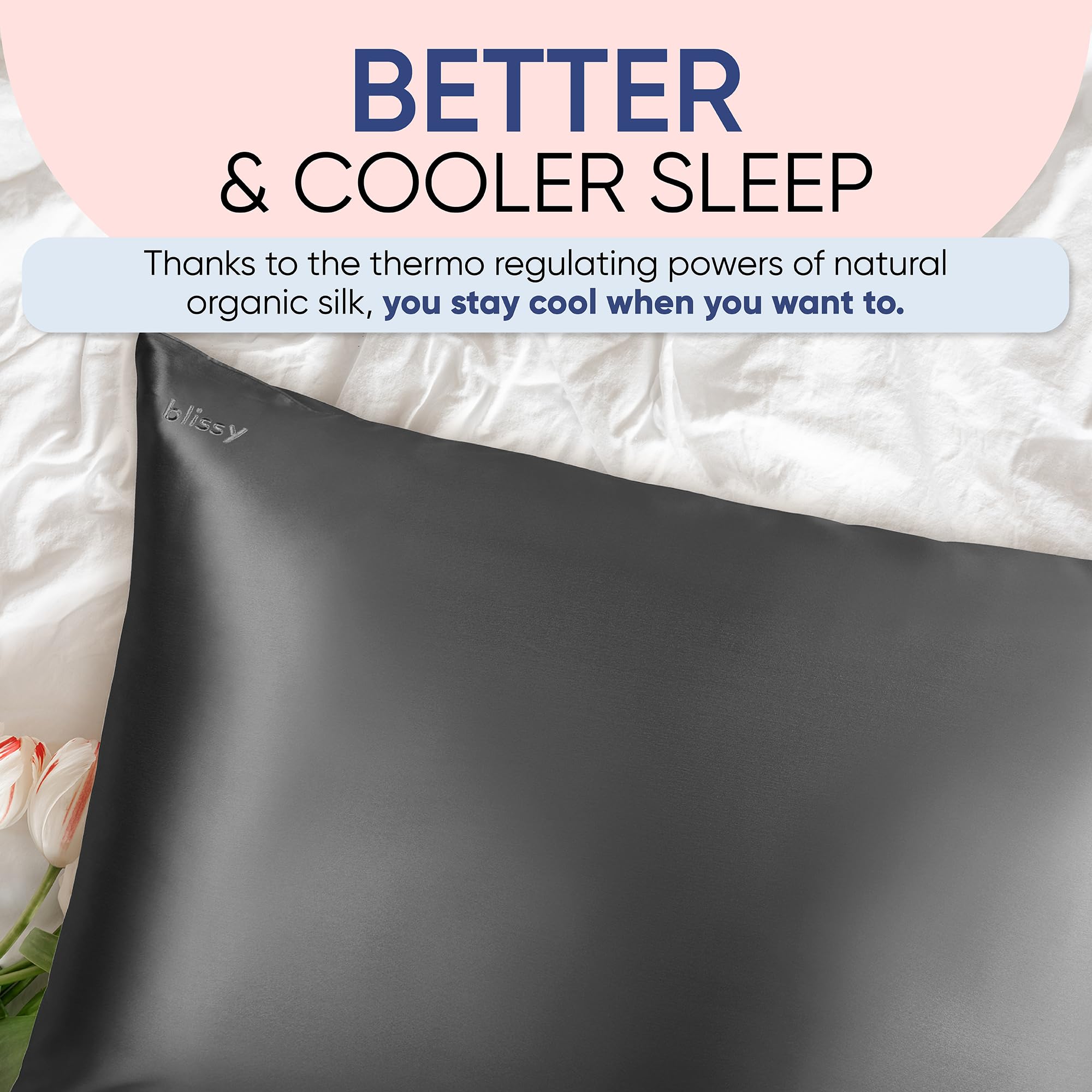 Blissy Silk Pillowcase - 100% Pure Mulberry Silk - 22 Momme 6A High-Grade Fibers - Silk Pillow Cover for Hair & Skin - Regular, Queen & King with Hidden Zipper (Standard,Blissy White)