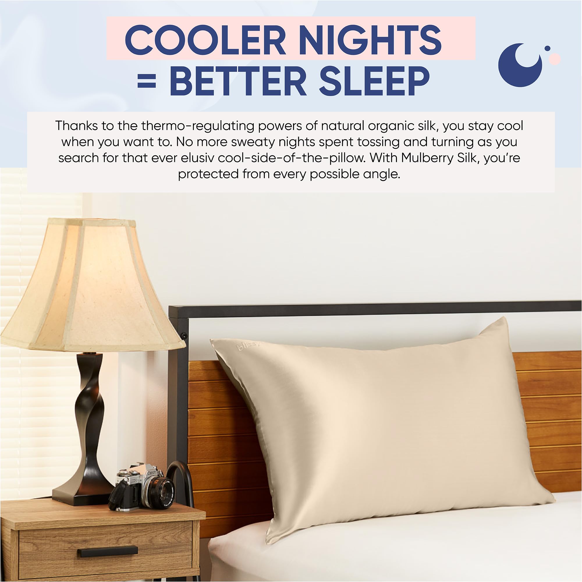 Blissy Silk Pillowcase - 100% Pure Mulberry Silk - 22 Momme 6A High-Grade Fibers - Silk Pillow Cover for Hair & Skin - Regular, Queen & King with Hidden Zipper (Queen, Champagne)