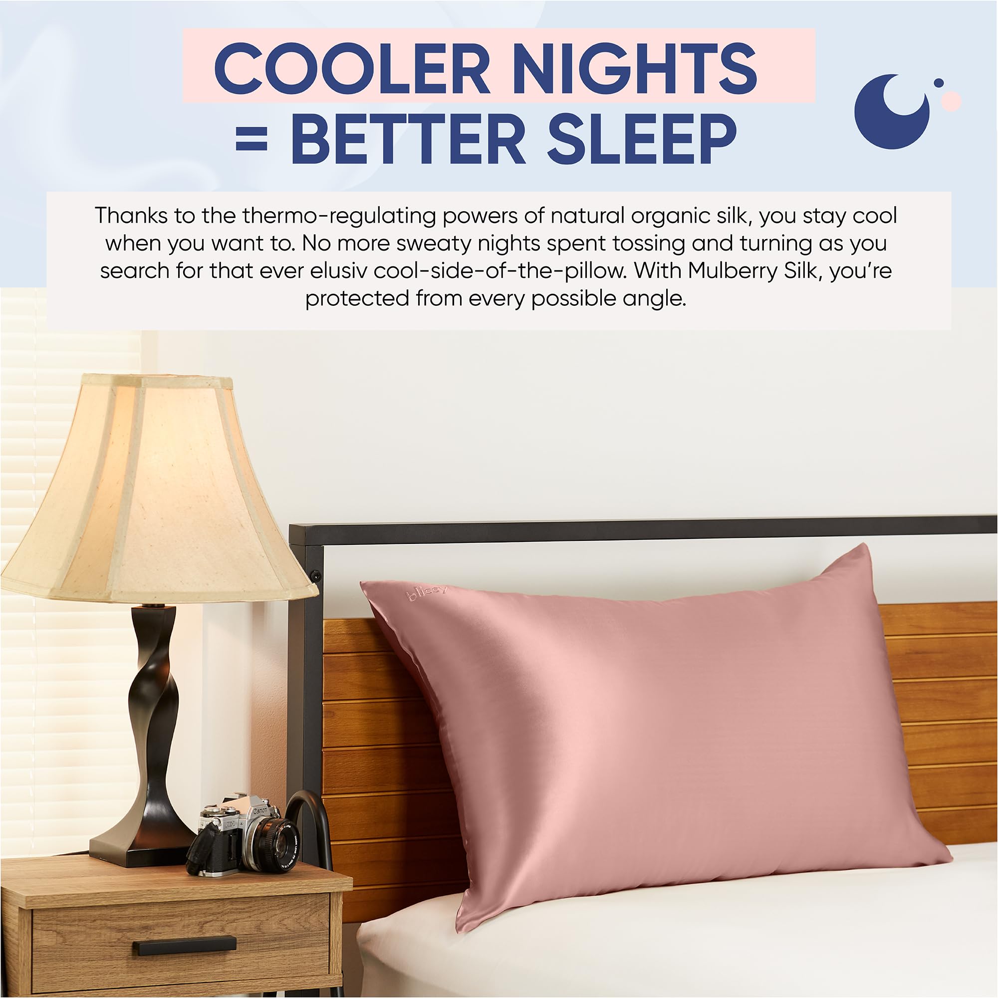 Blissy Silk Pillowcase - 100% Pure Mulberry Silk - 22 Momme 6A High-Grade Fibers - Silk Pillow Cover for Hair & Skin - Regular, Queen & King with Hidden Zipper (Queen, Champagne)