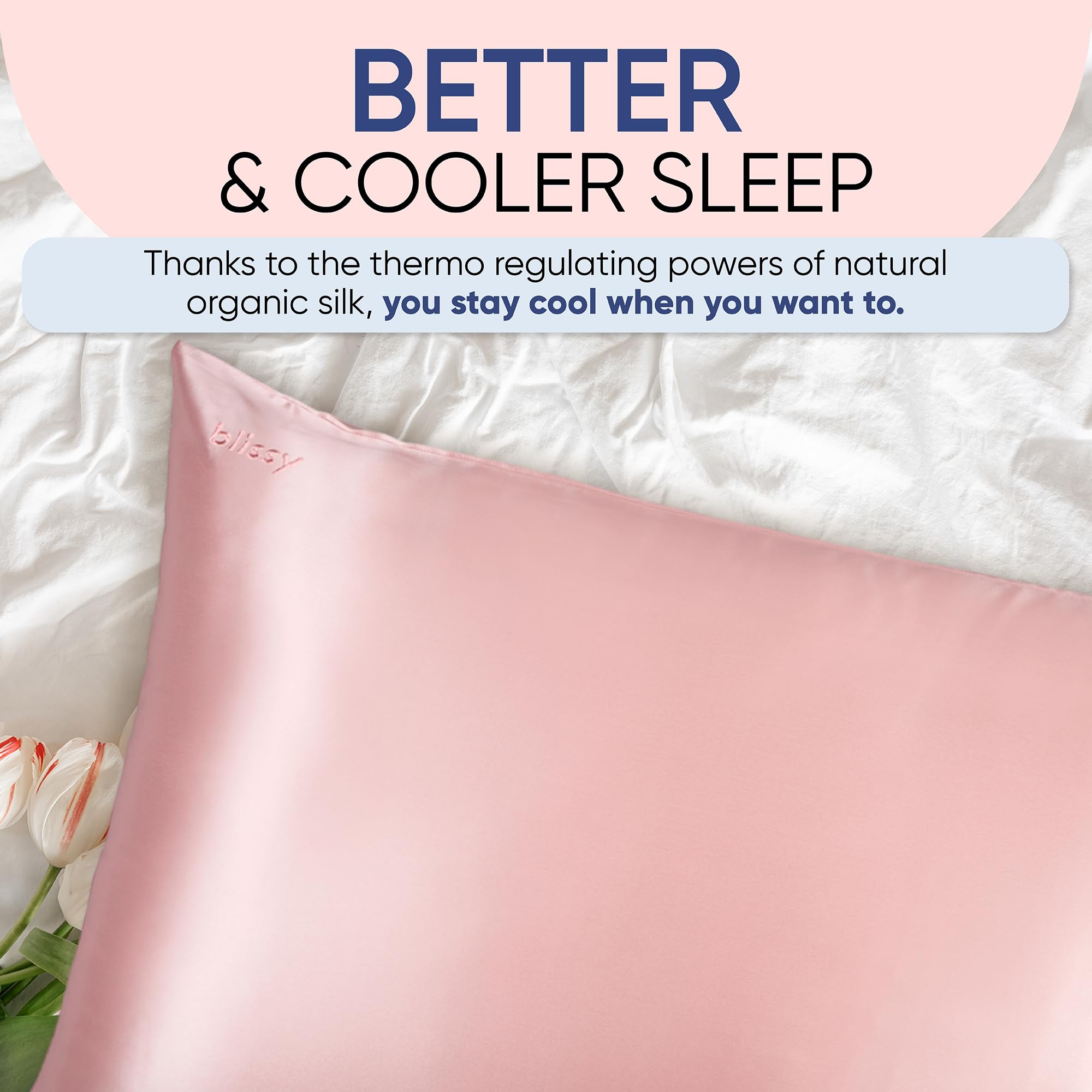 Blissy Silk Pillowcase - 100% Pure Mulberry Silk - 22 Momme 6A High-Grade Fibers - Silk Pillow Cover for Hair & Skin - Regular, Queen & King with Hidden Zipper (Standard,Blissy White)