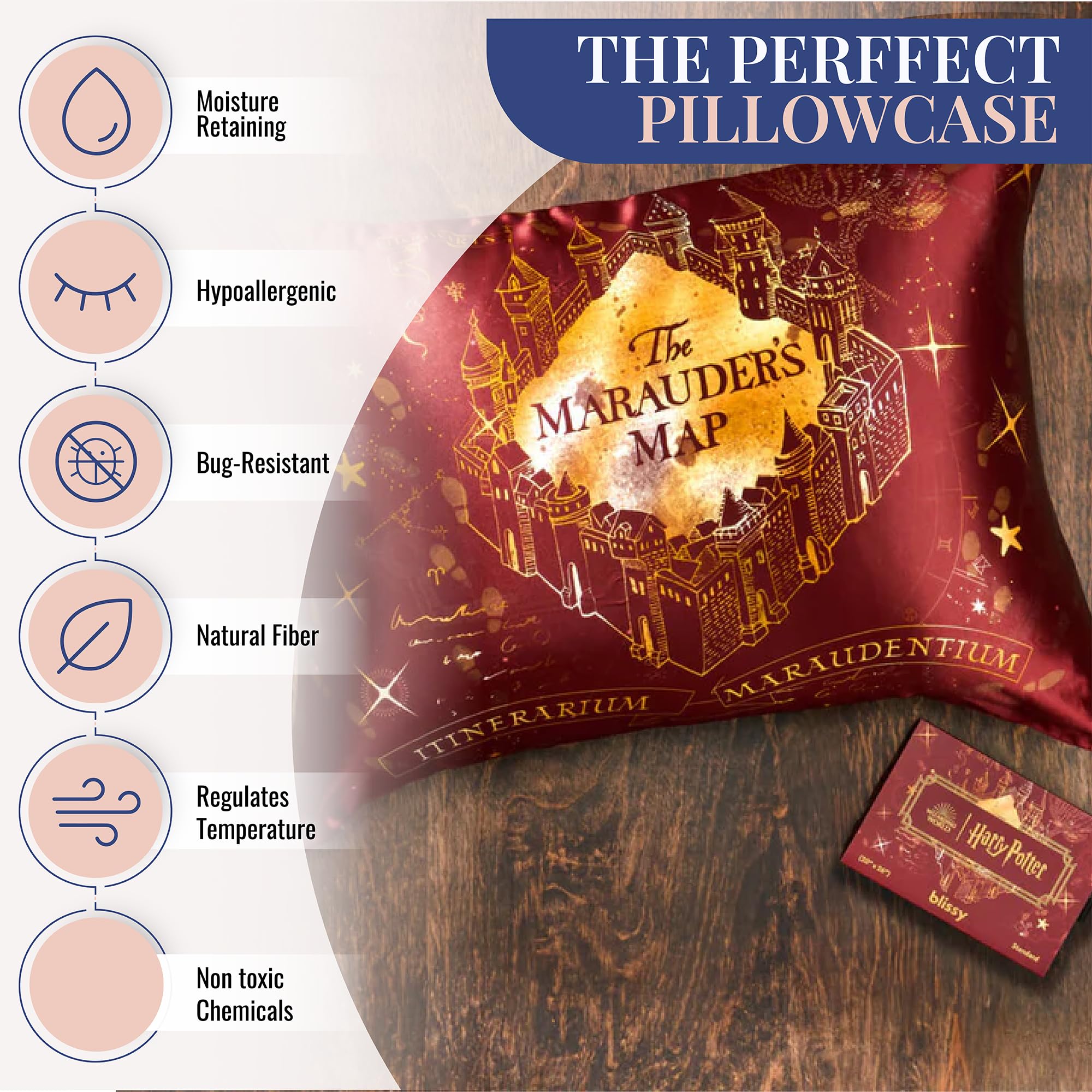 Blissy Silk Pillowcase - 100% Pure Mulberry Silk - 22 Momme 6A High-Grade Fibers - Silk Pillow Cover for Hair & Skin - Regular, Queen & King with Hidden Zipper (Queen, Champagne)