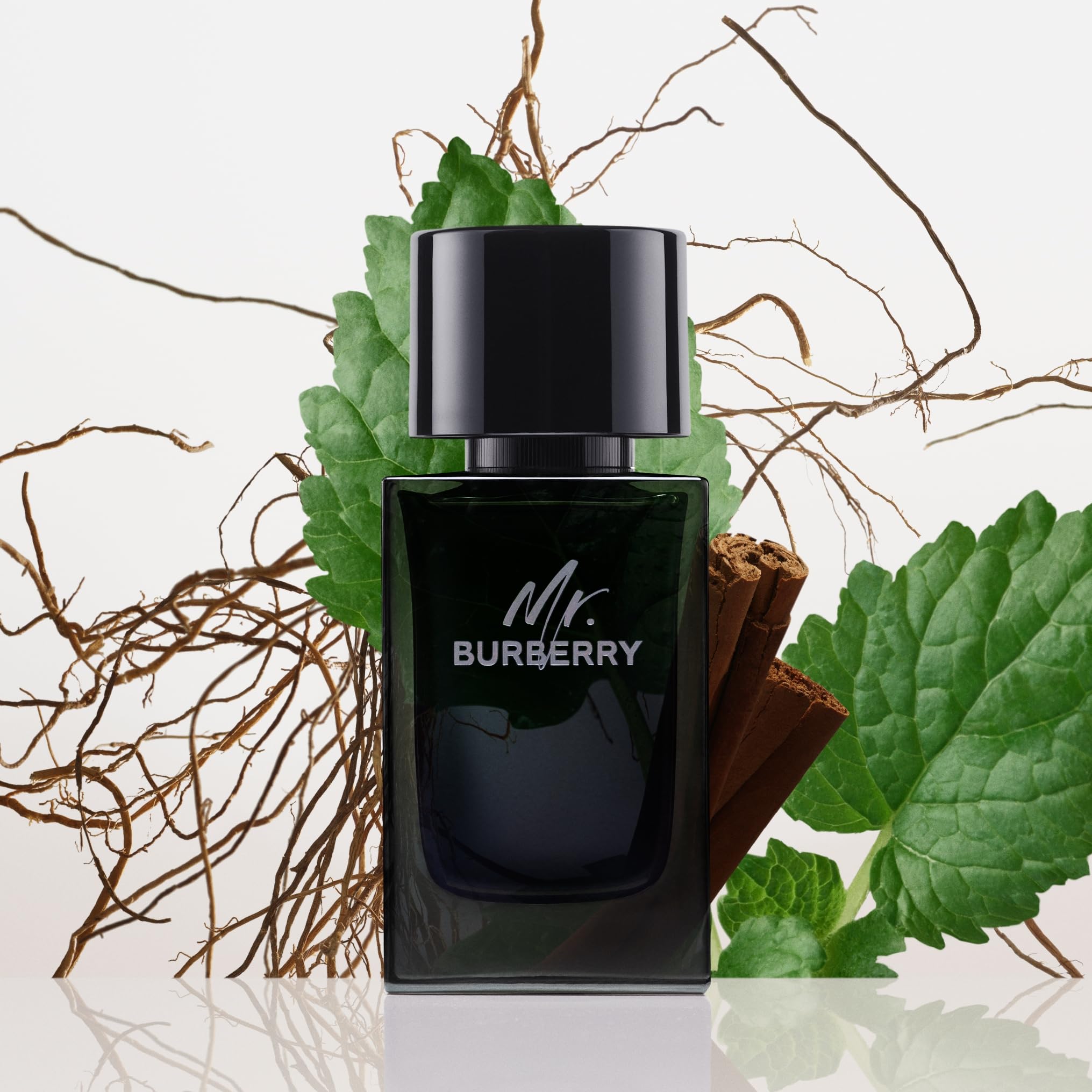 Burberry Mr Burberry Eau de Parfum for Men